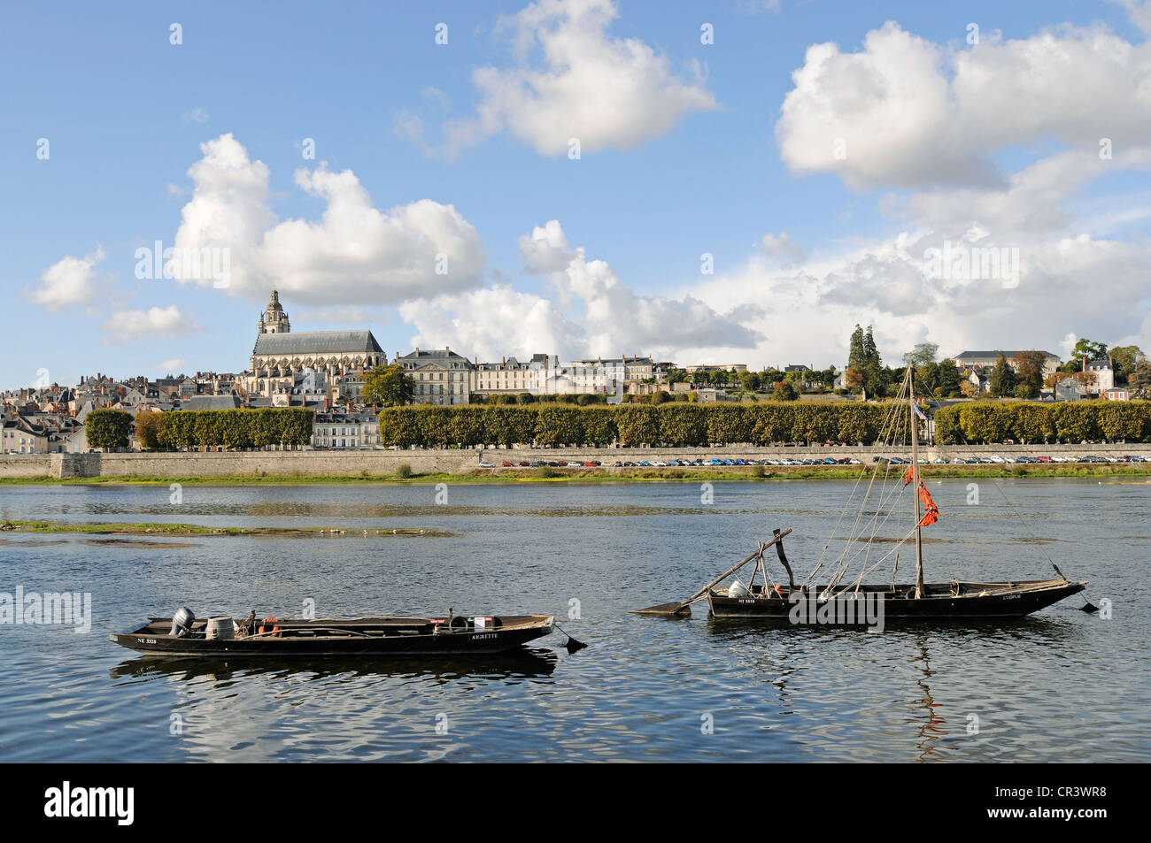 Cathédrale Saint-Louis de Blois, Boote, Loire River, Blois, Loir-et-Cher, Centre, Frankreich, Europa, PublicGround Stockfoto