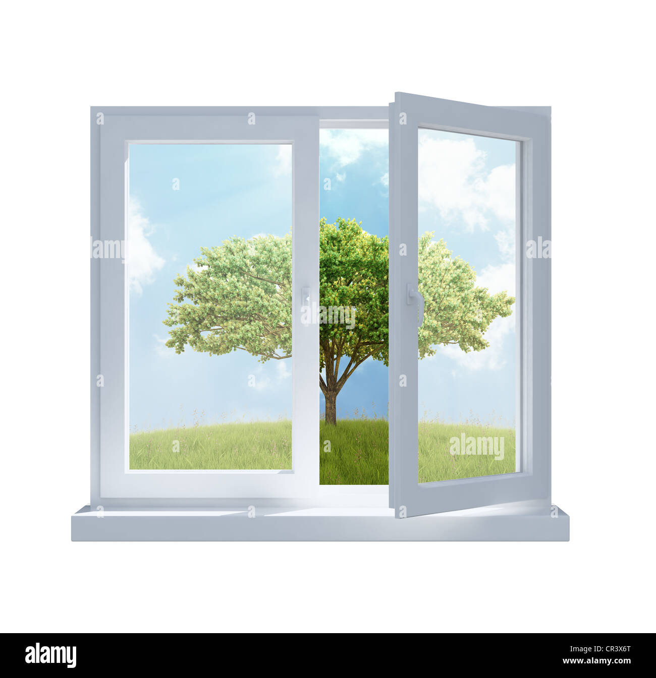 Eine Wiese mit einem Baum an einem sonnigen Tag durch eine teilweise geöffneten Fenster angezeigt Stockfoto