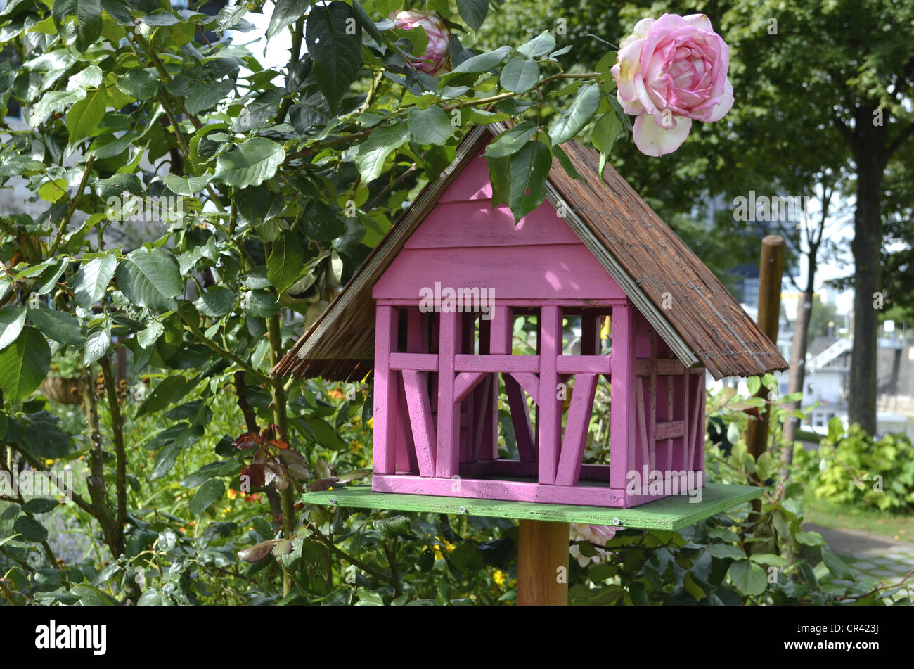 Rosa Vogel-Haus im Rosengarten Stockfoto