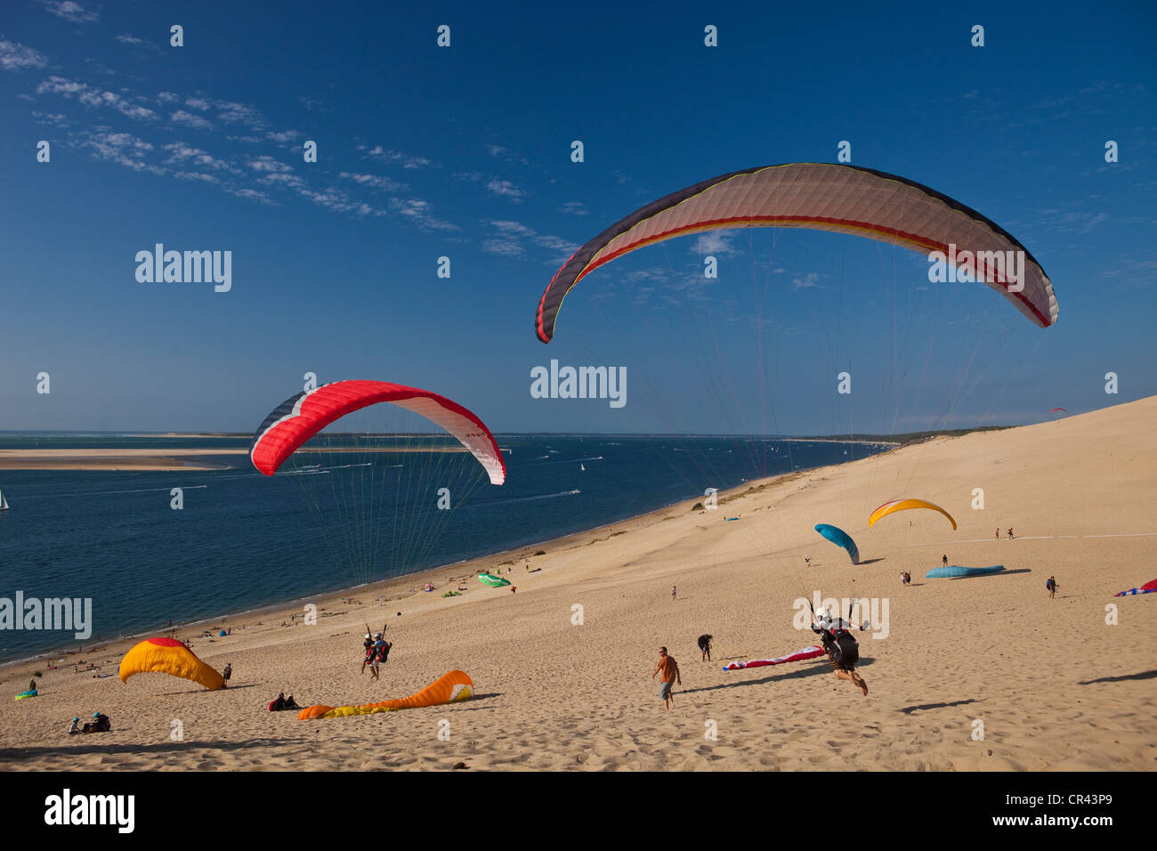 Frankreich, Gironde, Bassin d ' Arcachon, Pyla-Sur-Mer, Paragliding auf Düne von Pyla Stockfoto