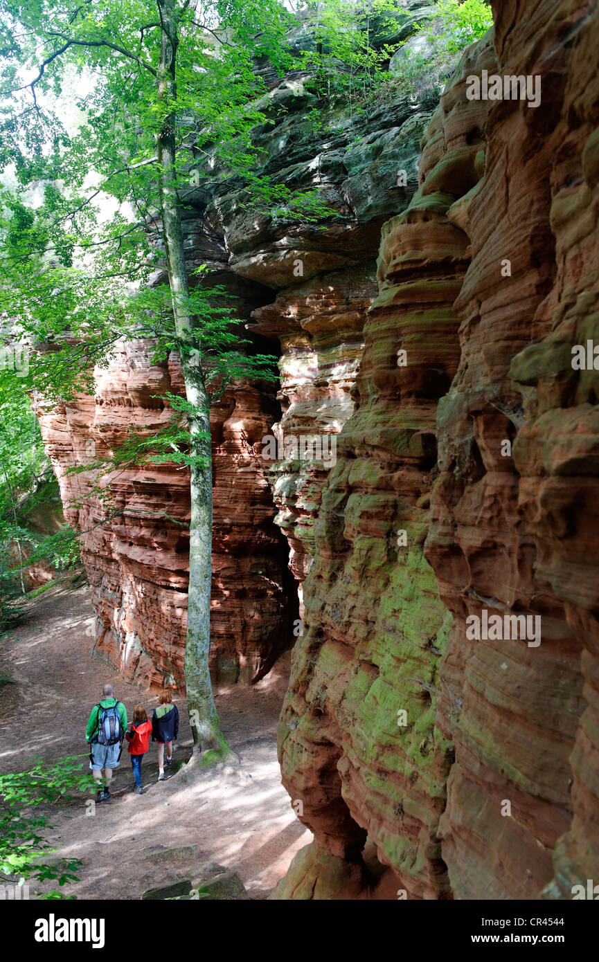 Hikersin ein Klettergebiet, Naturdenkmal, Altschlossfelsen oder Old Castle Rock in Eppenbrunn, Naturpark Pfälzer Wald Stockfoto