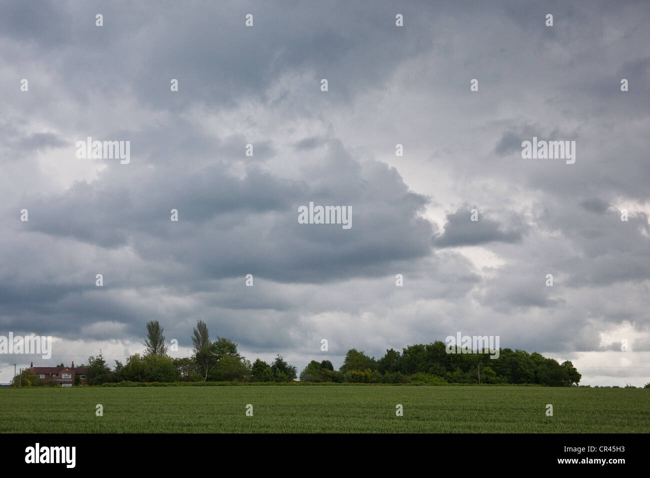 Plum Cottage Bed And Breakfast in Hattingley, Hampshire, England, Vereinigtes Königreich. Stockfoto