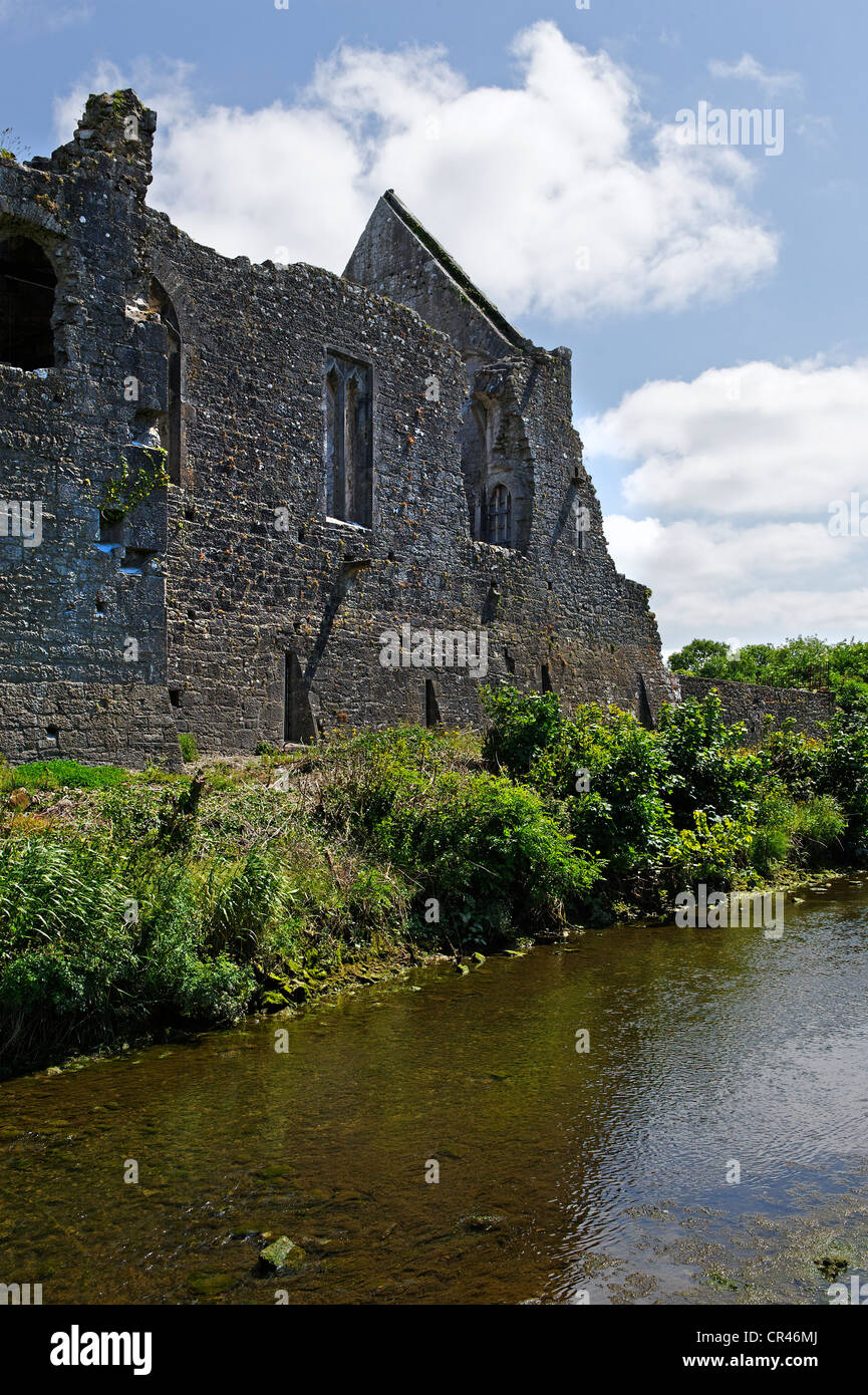 Desmond Castle auf dem Fluss Deel, Askeaton, County Limerick, Irland, Europa Stockfoto