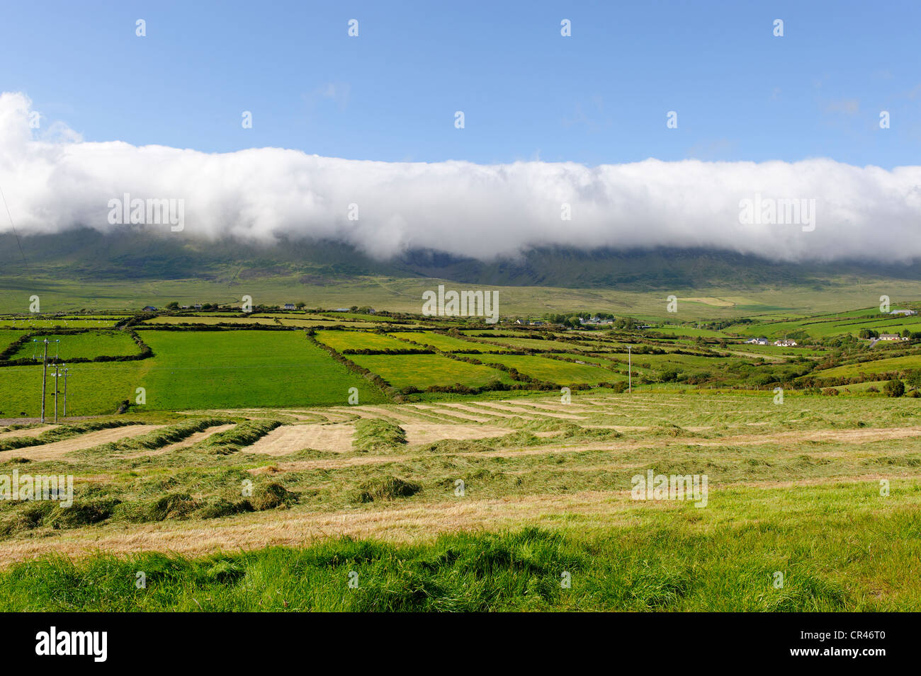 Landschaft auf der Halbinsel Dingle, County Kerry, Irland, Europa Stockfoto