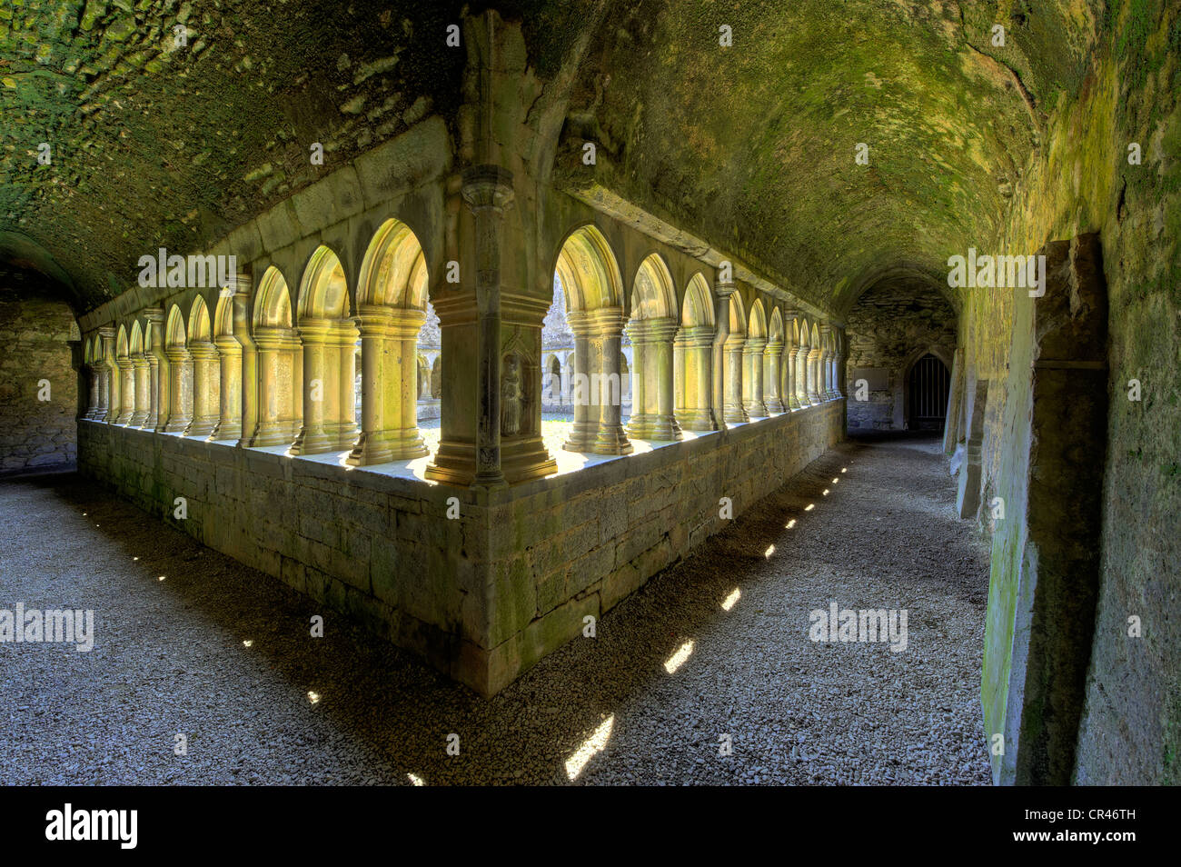 Kreuzgang, Ruinen des ehemaligen Franziskanerklosters, Askeaton, County Limerick, Irland, Europa Stockfoto