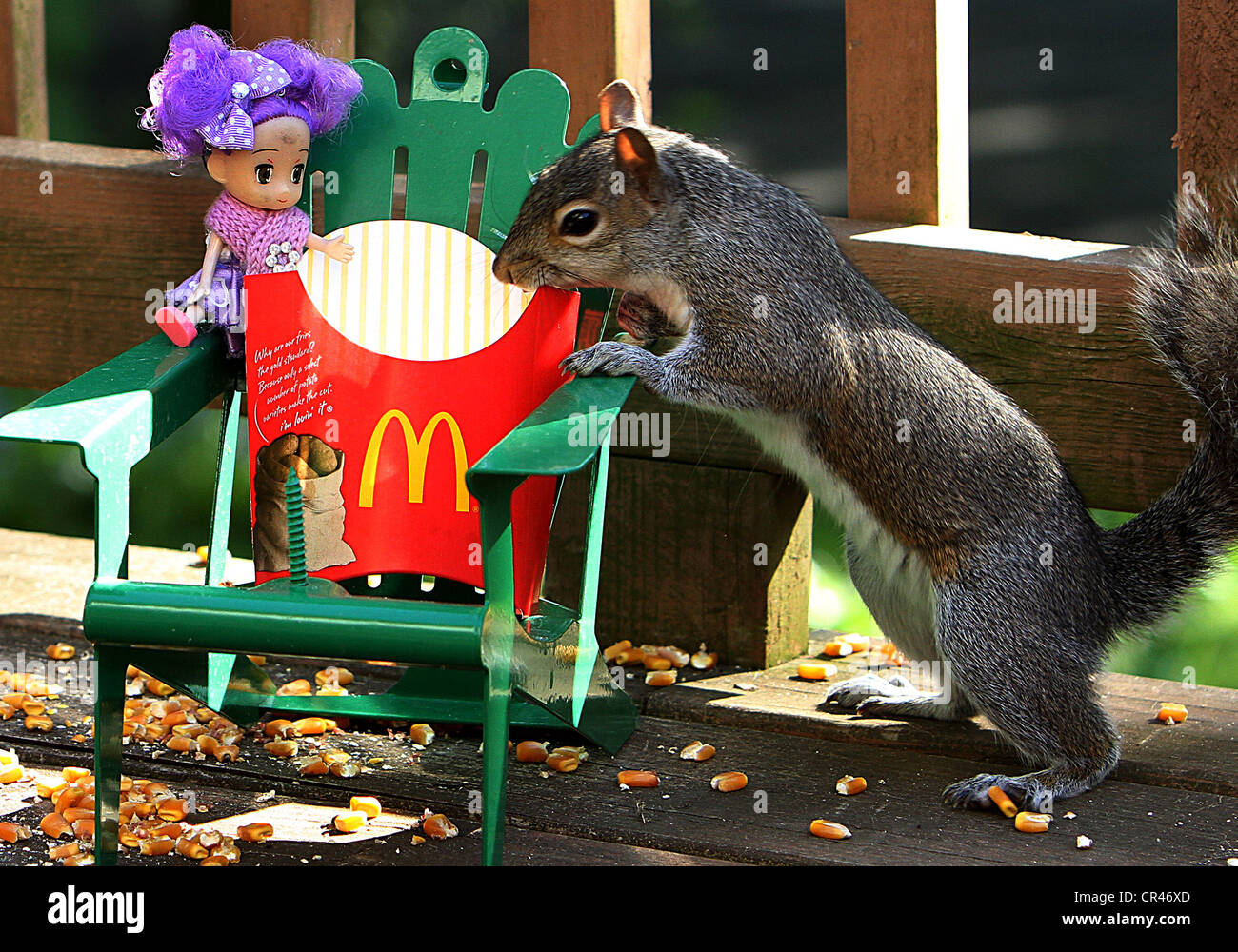 Wer hat die Pommes frites gegessen Stockfoto