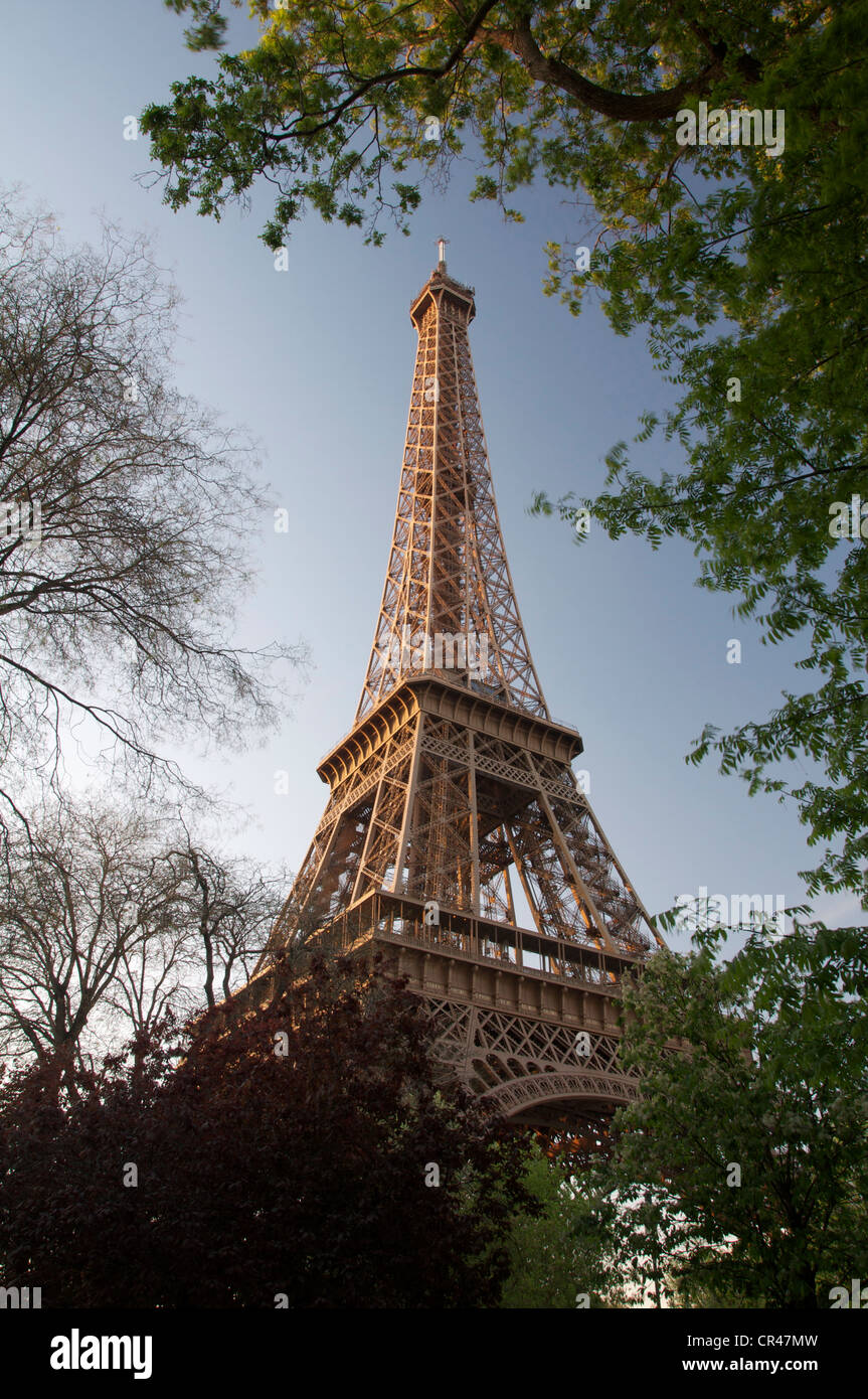 Der Eiffelturm, Wahrzeichen von Paris, fangen die Strahlen der untergehenden Sonne. Zwischen den Bäumen in Champ de Mars angesehen. Frankreich. Stockfoto