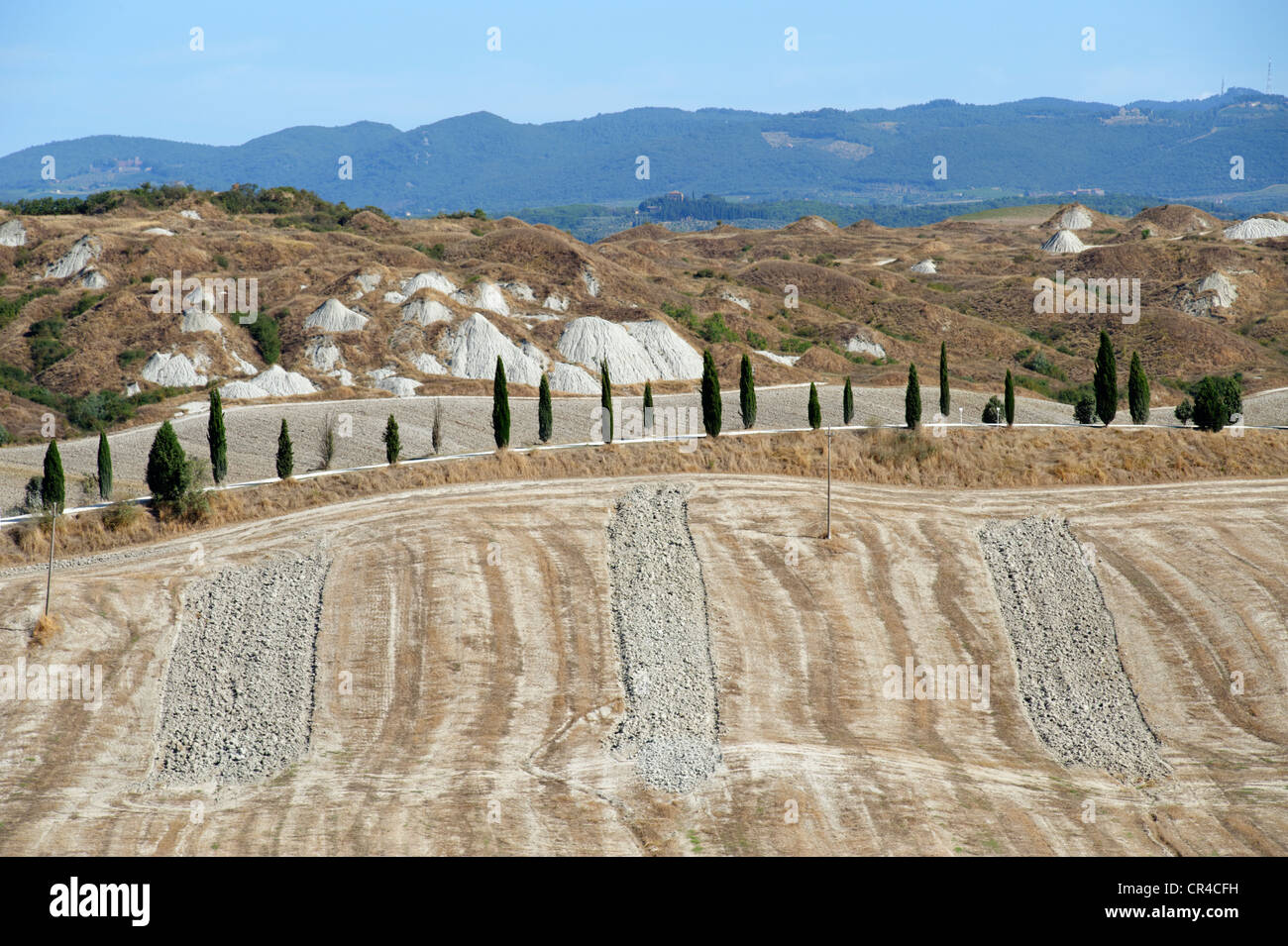 Landschaft südlich von Siena mit Biancane, kuppelförmigen Formationen, Crete Senesi, Toskana, Italien, Europa Stockfoto