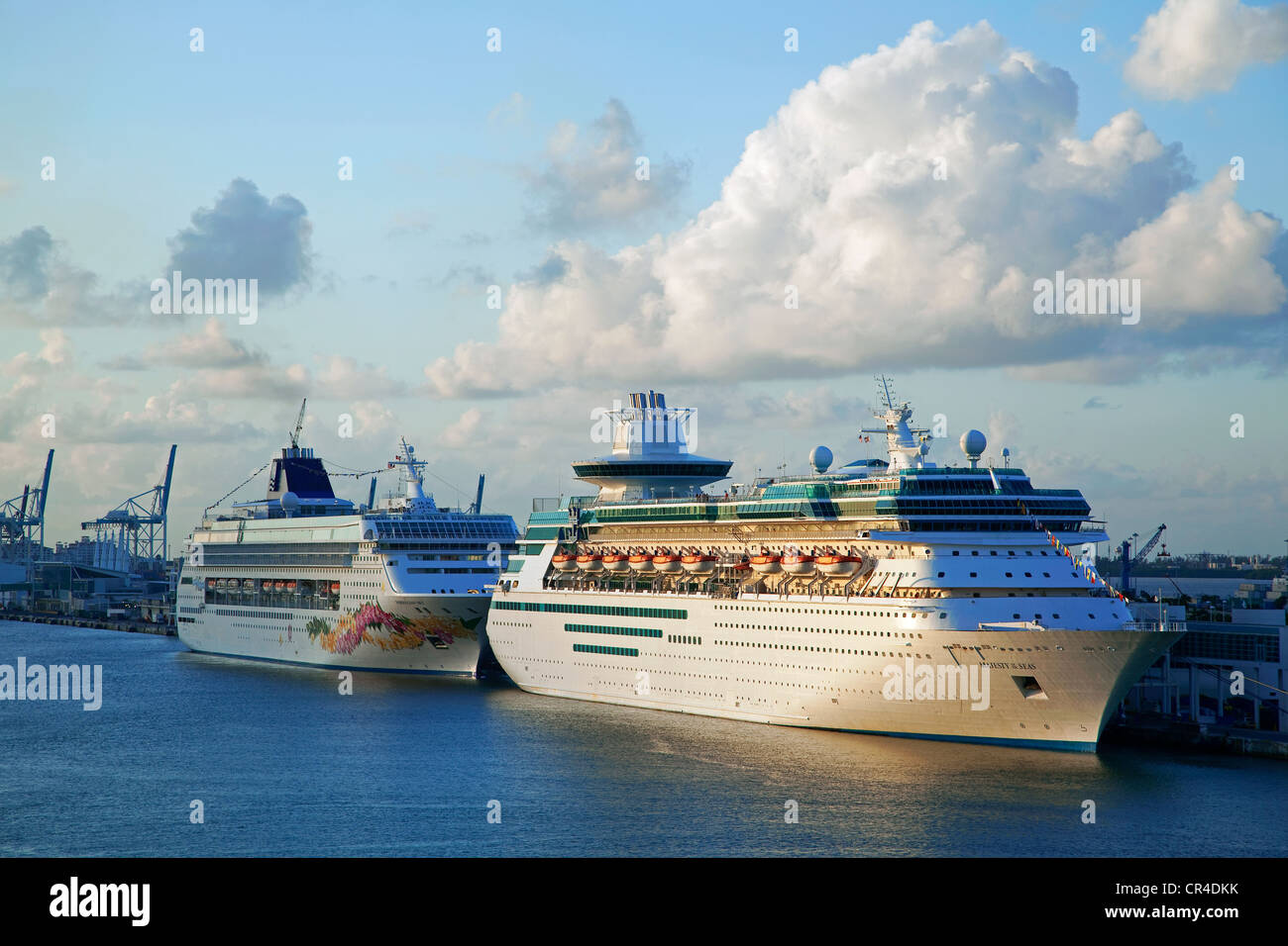 USA, Florida, Miami, Kreuzfahrtschiffe im Hafen Stockfoto