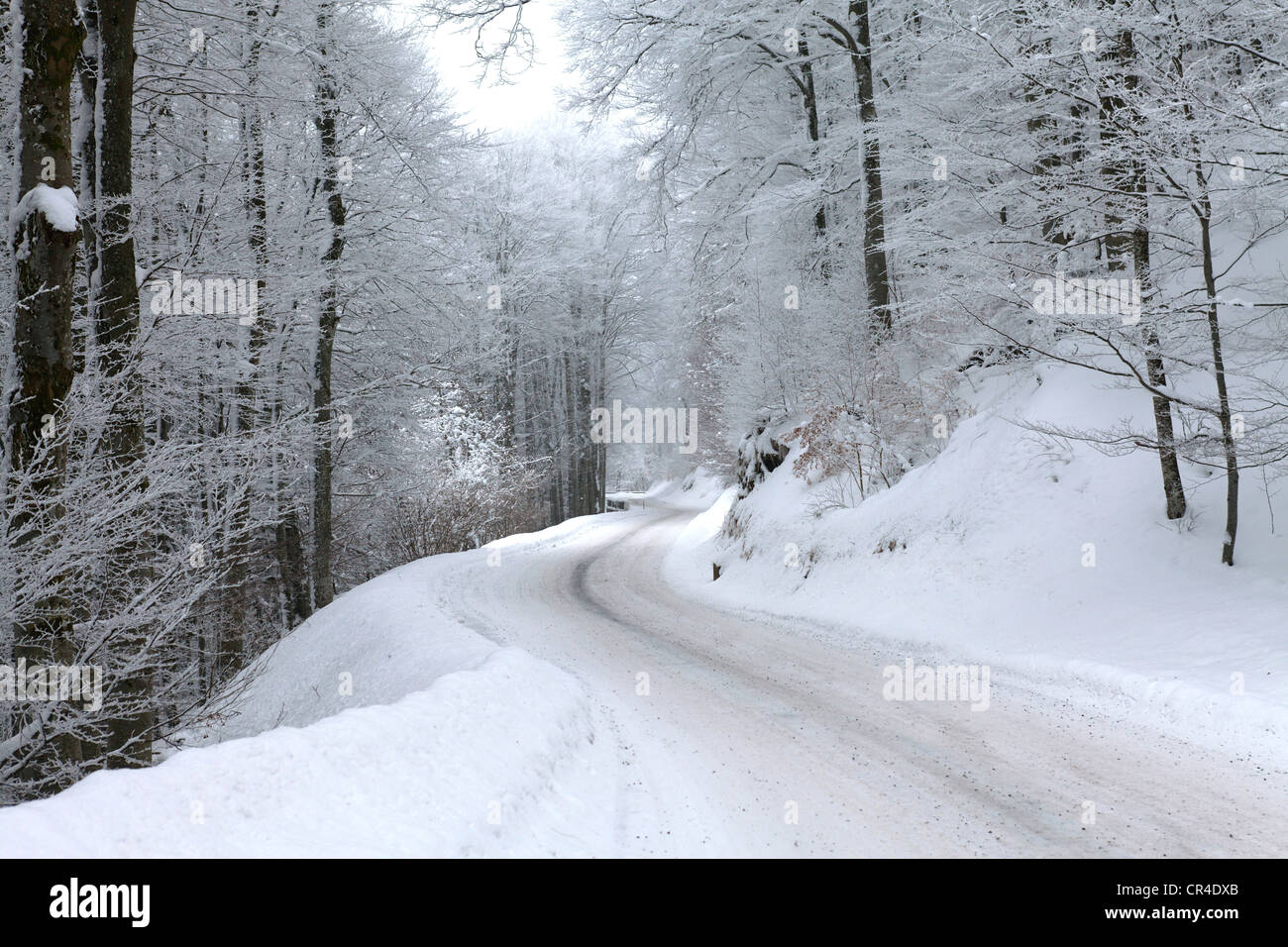 Straße im Winter, Parc Naturel Regional des Vulkane d ' Auvergne, regionaler Natur Park der Vulkane d ' Auvergne, Puy de Dome, Auvergne Stockfoto