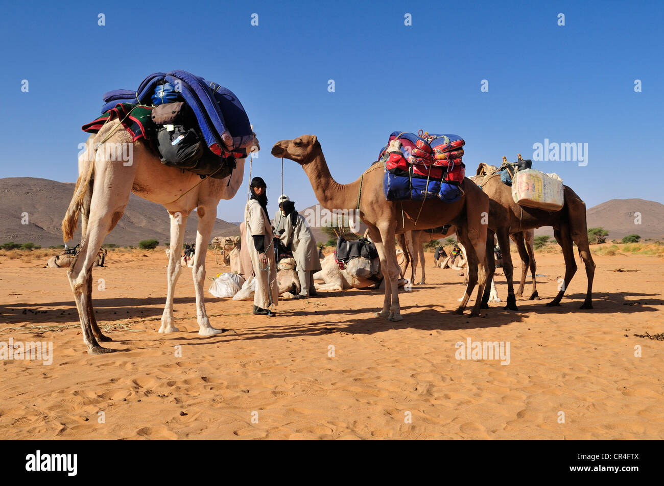 Touareg von Kel Immidir Tourist Wohnwagen vorbereiten, Adrar Tekemberet, Immidir, Algerien, Sahara, Nordafrika Stockfoto