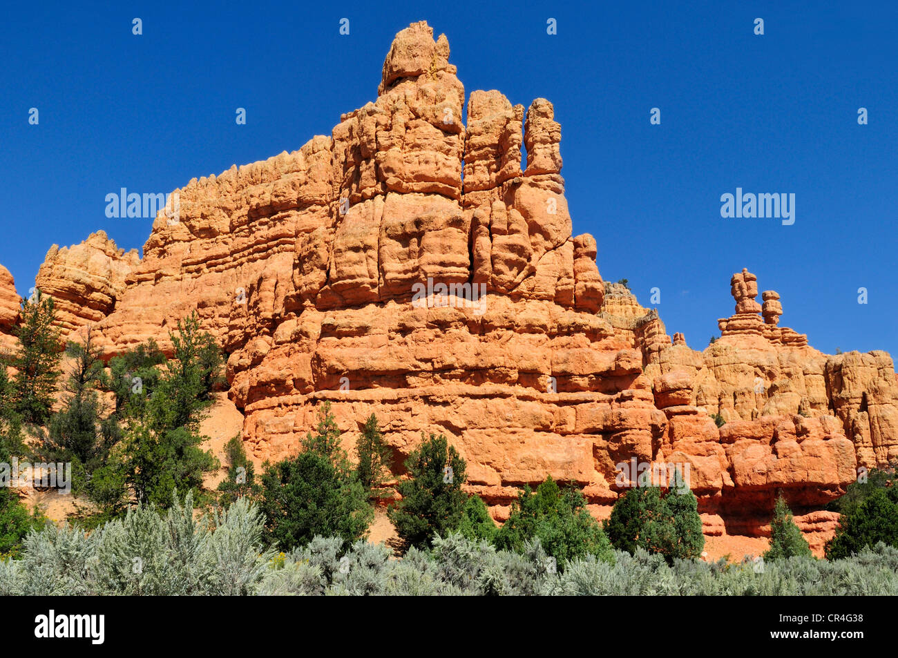 Claron Rock Formation, Dixie National Forest, Utah, USA, Nordamerika Stockfoto