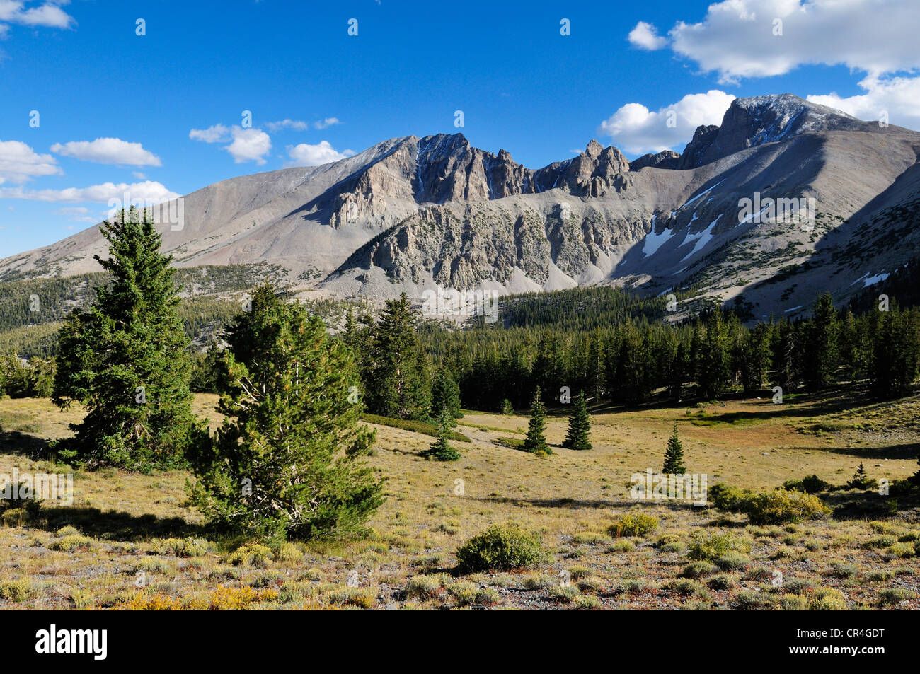 Mount Wheeler, Great Basin National Park, Nevada, USA, Nordamerika Stockfoto