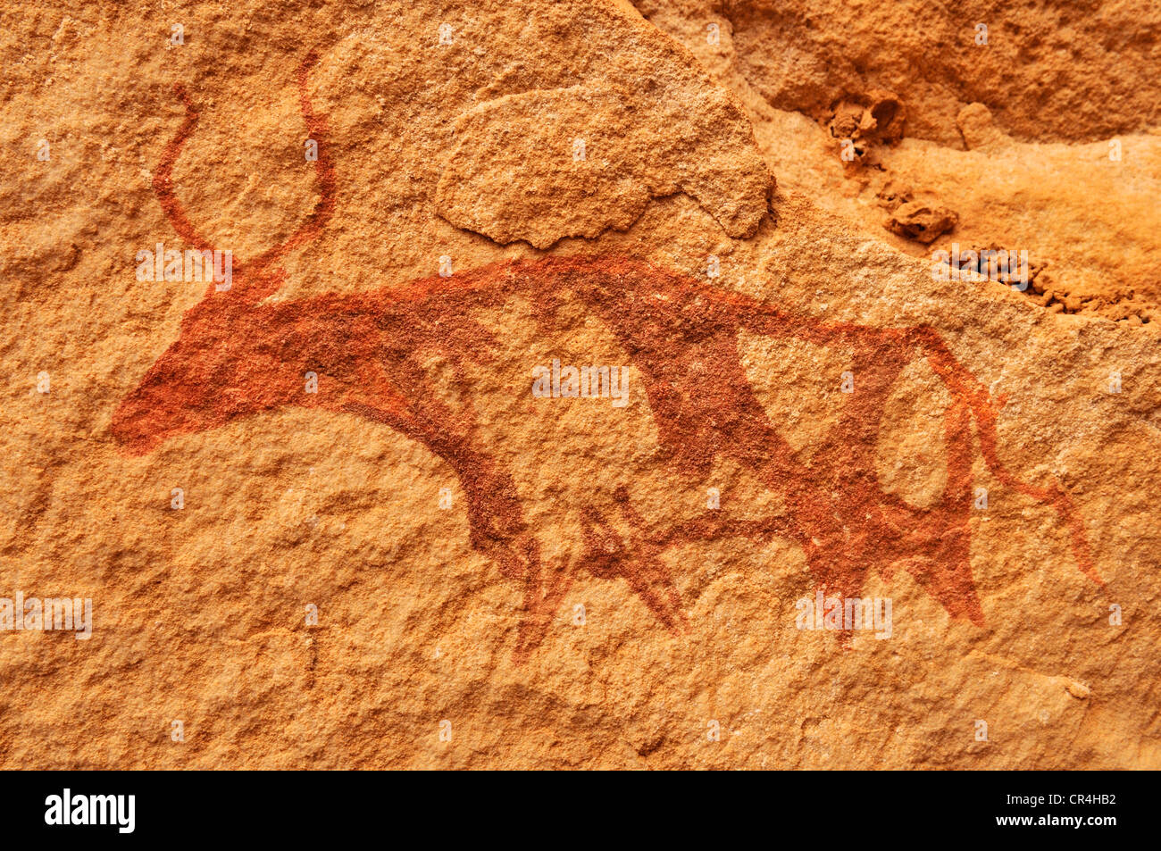 Bemalte Kuh, neolithischen Felszeichnungen an Tin Meskis, Adrar N'Ahnet, Algerien, Sahara, Nordafrika Stockfoto