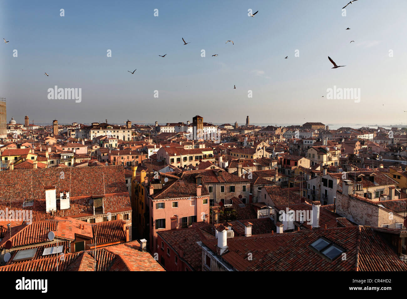 Mit Blick auf die Dächer von Venedig, UNESCO-Weltkulturerbe, Venetien, Italien, Europa Stockfoto