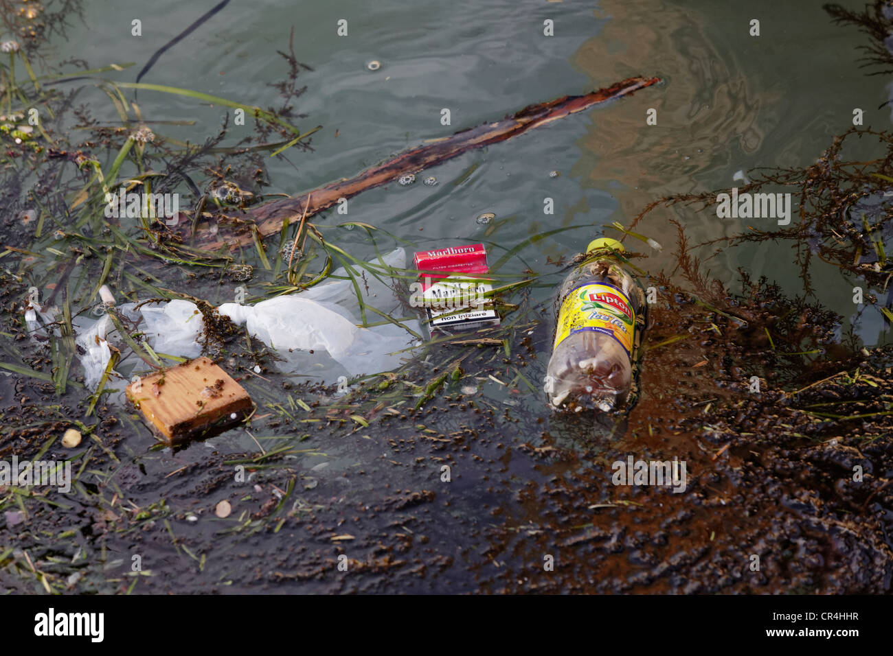 Müll im Wasser, Verschmutzung, Venedig, Venetien, Italien, Europa Stockfoto