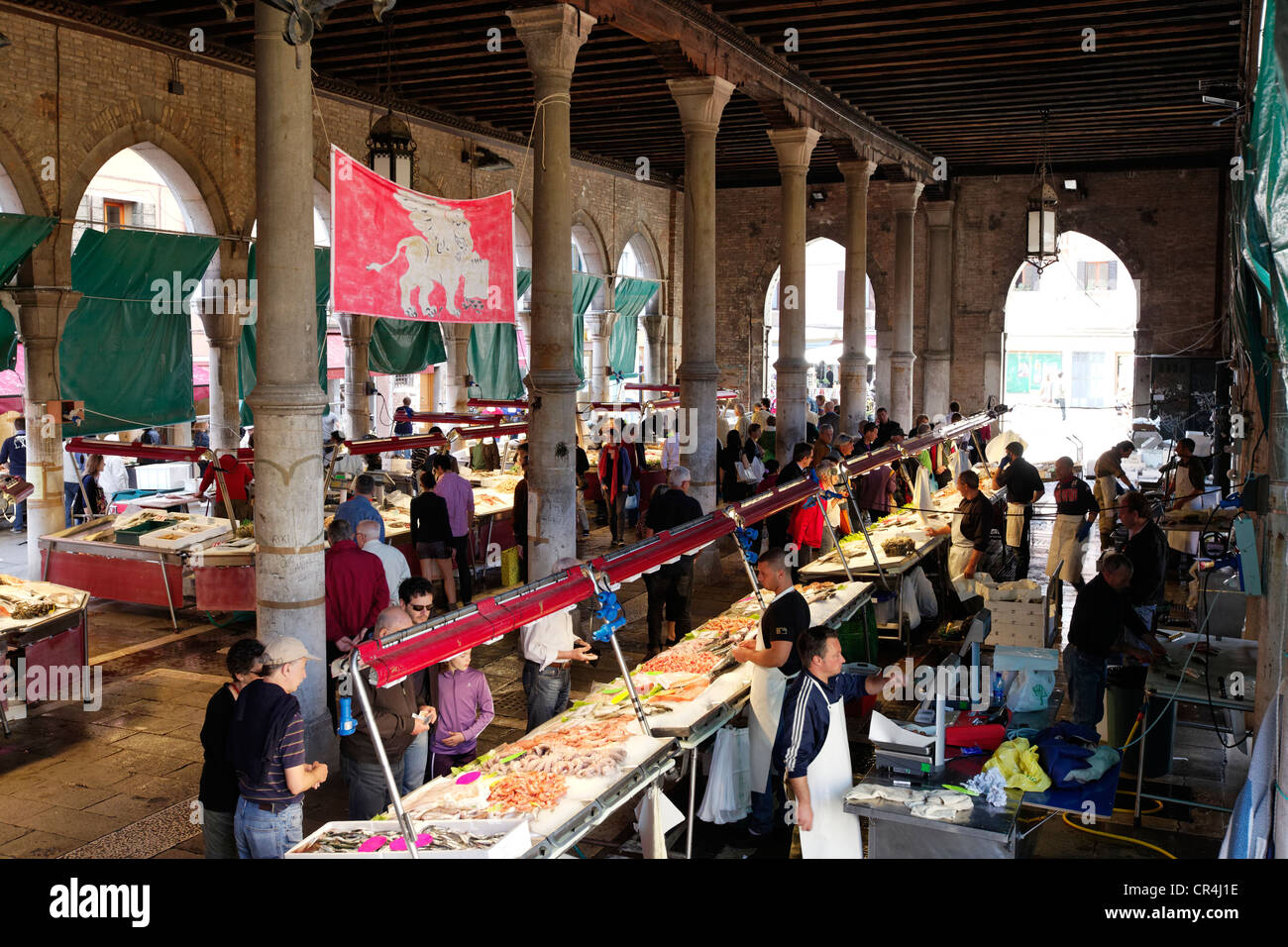 Fisch-Markthalle, Campo De La Pescaria, Rialto-Markt, San Polo Bezirk, Venedig, Venetien, Italien, Europa Stockfoto