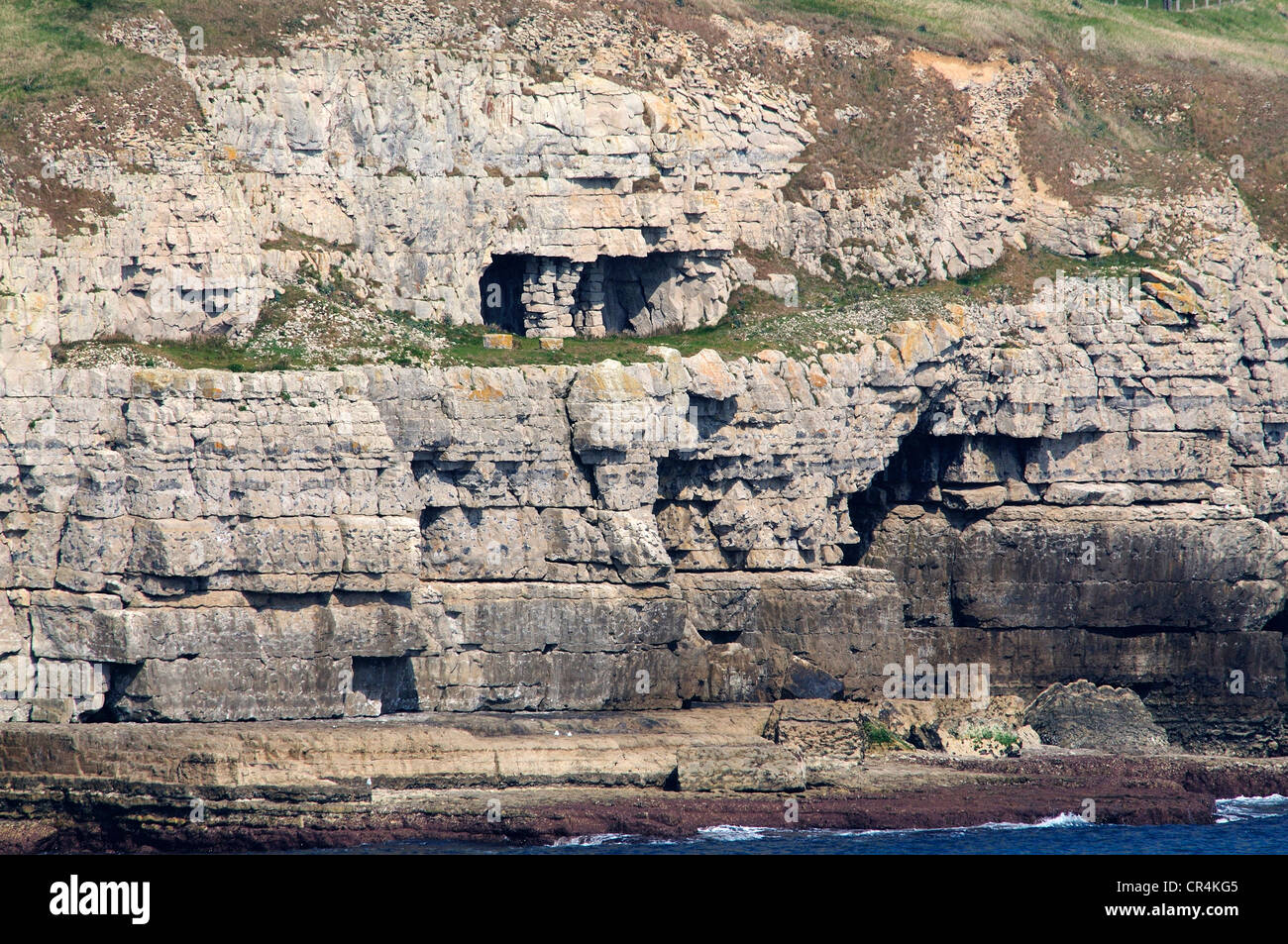 Seacombe Cliff Ost Küste von Dorset Jurassic Stockfoto