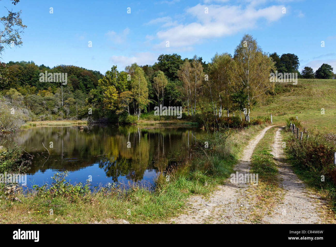 Teich in der Nähe von Ussel, Parc Naturel Regional de Millevaches En Limousin Millevaches regionalen natürlichen Parks, Frankreich Stockfoto