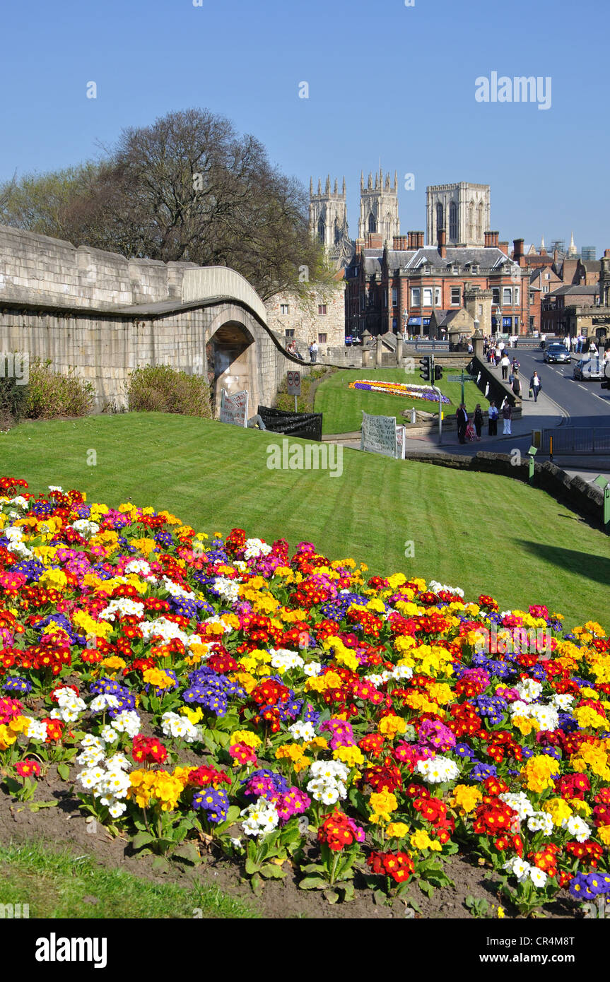Blumenbeete und Stadtmauern, York, North Yorkshire, England, UK Stockfoto