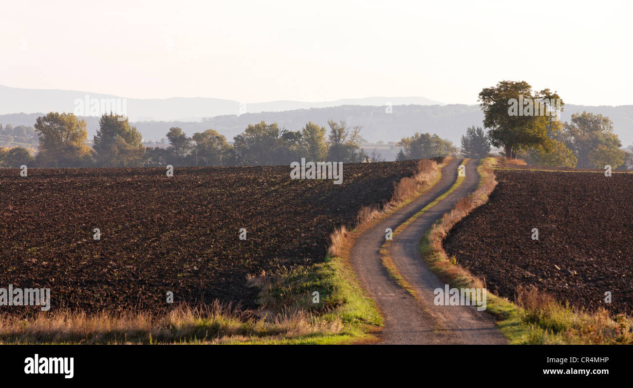 Feldweg, Ebene der Limagne, Puy de Dome, Frankreich, Europa Stockfoto