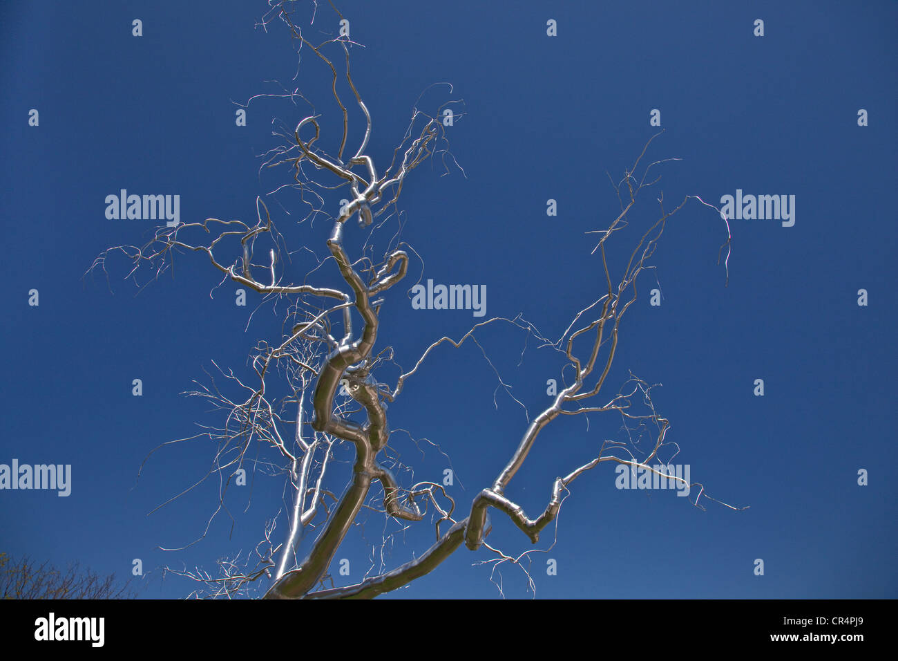 Smithsonian Museum; American Indian Museum; Bildhauer-Garten an der National Mall in Washington, DC; Hauptstadt der USA; Nord-Amerika Stockfoto