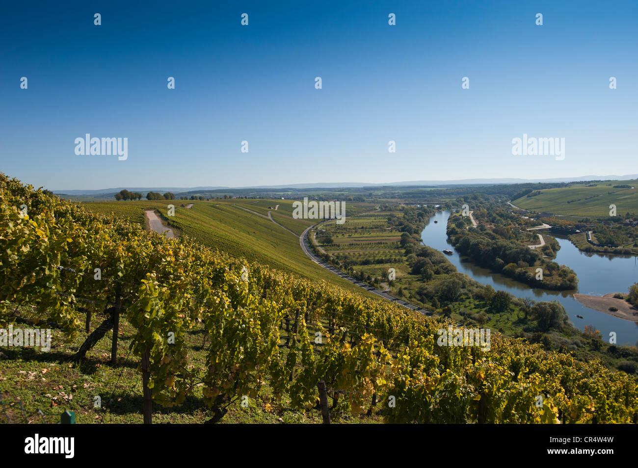 Blick vom Vogelsberg Burg an der Schlaufe des Flusses Main, untere Franken, Deutschland, Europa Stockfoto