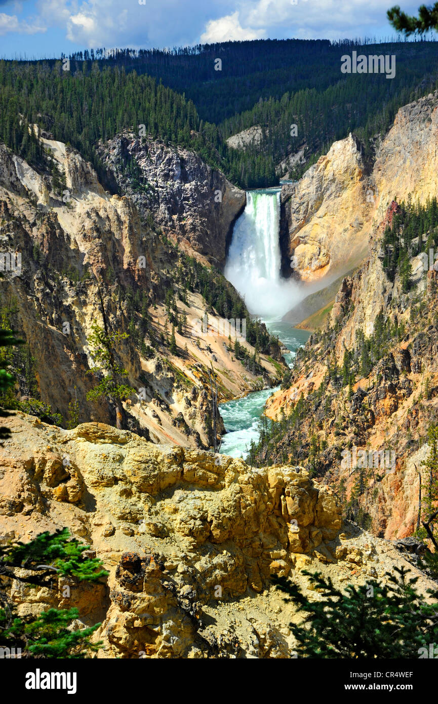 Lower Falls Yellowstone River National Park Wyoming WY USA Stockfoto
