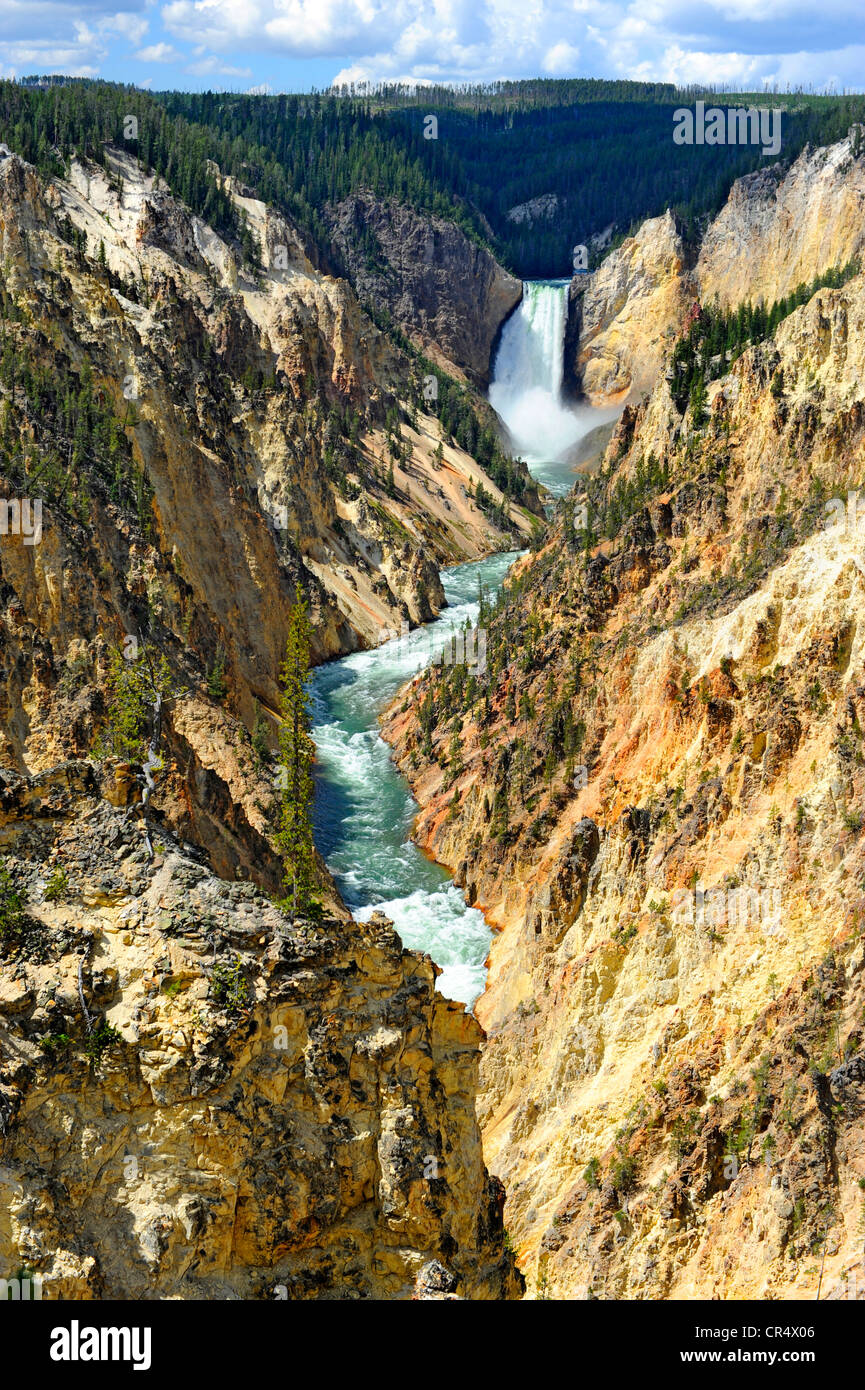 Lower Falls Yellowstone River National Park Wyoming WY USA Stockfoto