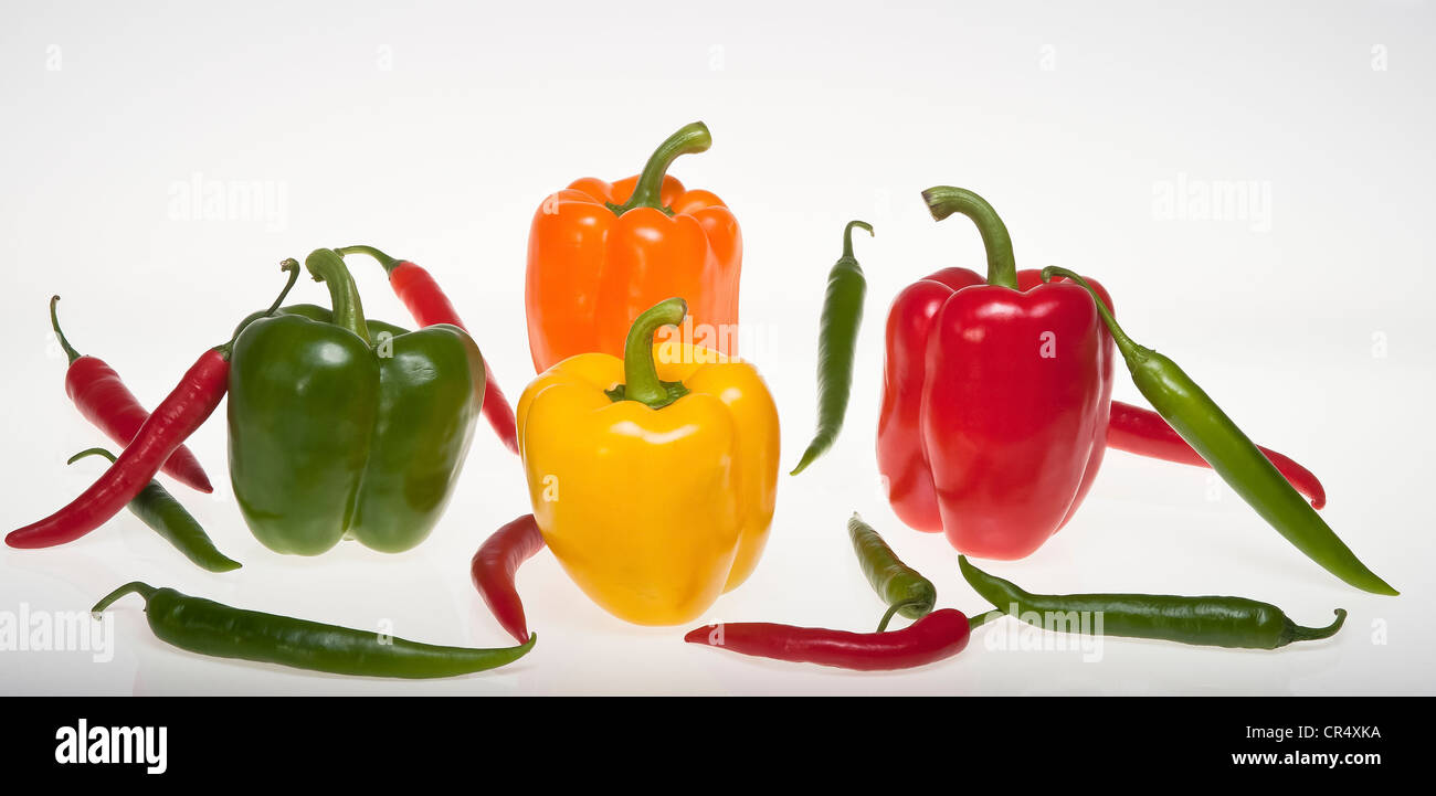 Bunte Paprika Paprika und Chilischoten, grün, Orange, gelb, rot, Studio Fotografie Stockfoto