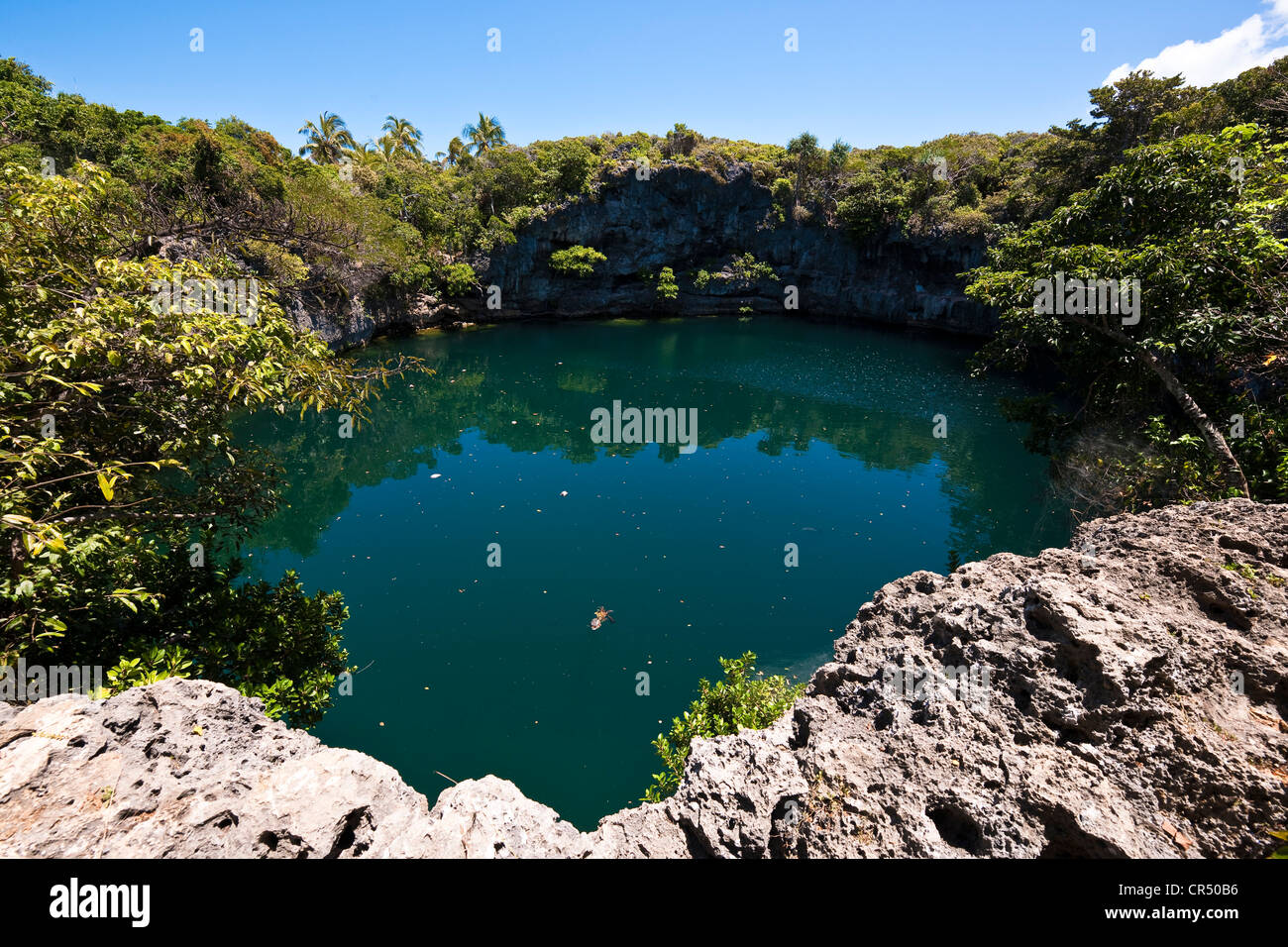 Frankreich, Neu-Kaledonien, Loyalität-Inseln, Ouvea Insel Schildkröte Loch Stockfoto
