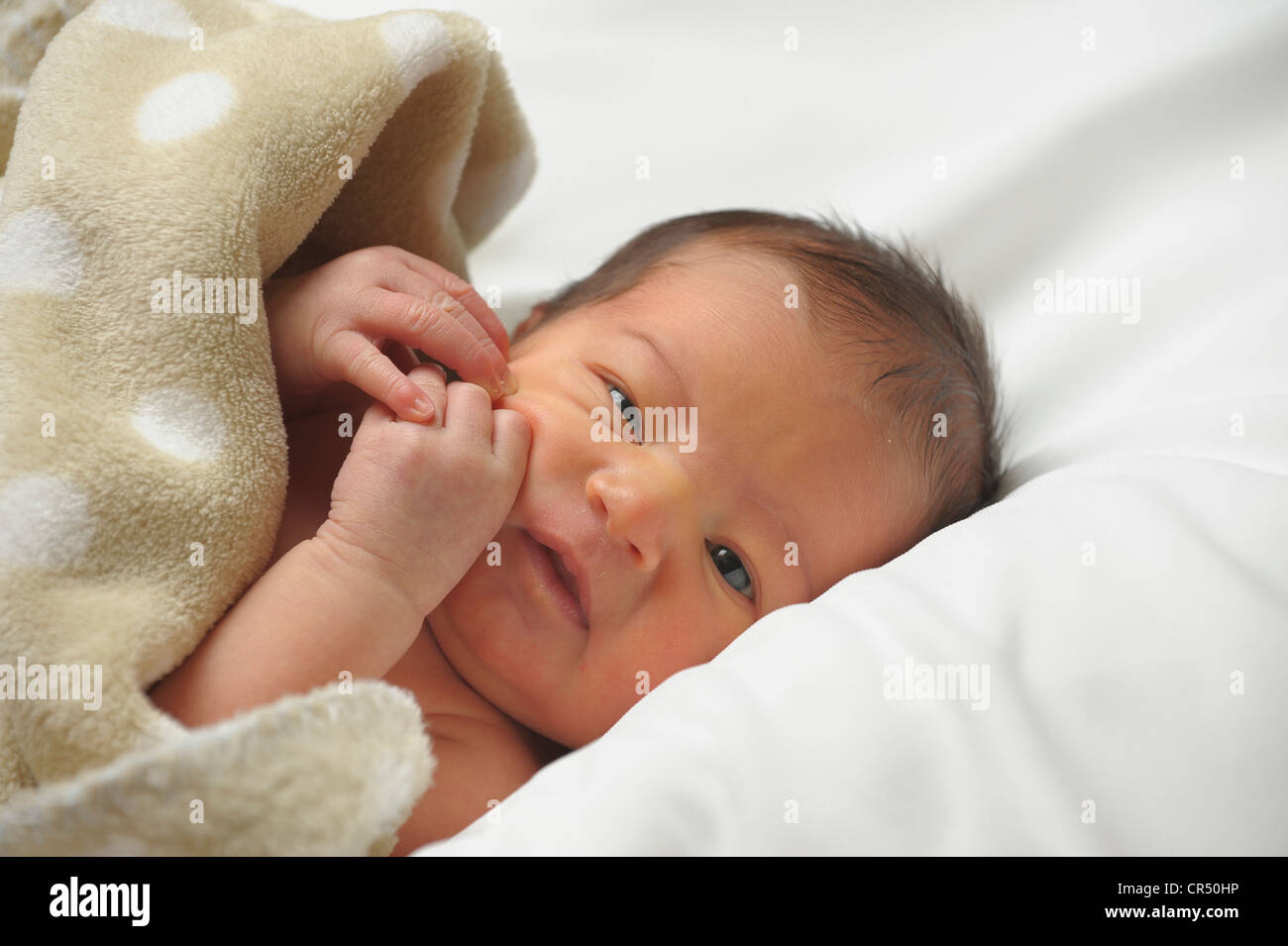 Babymädchen, 5 Tage nach der Geburt, Porträt Stockfoto