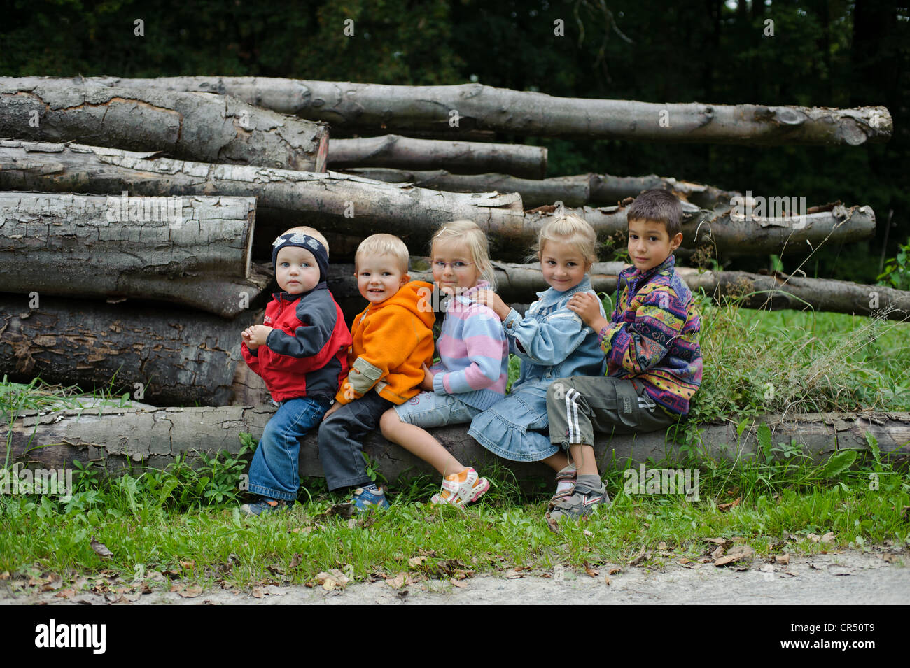 5 Kinder, 2-6 Jahre, sitzen in einer Reihe altersgerecht auf einem Baumstamm im Wald Stockfoto