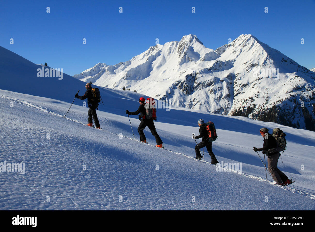 Ski touring Gruppe, Pulverschnee, Berge, Montafon, Vorarlberg, Österreich, Europa Stockfoto