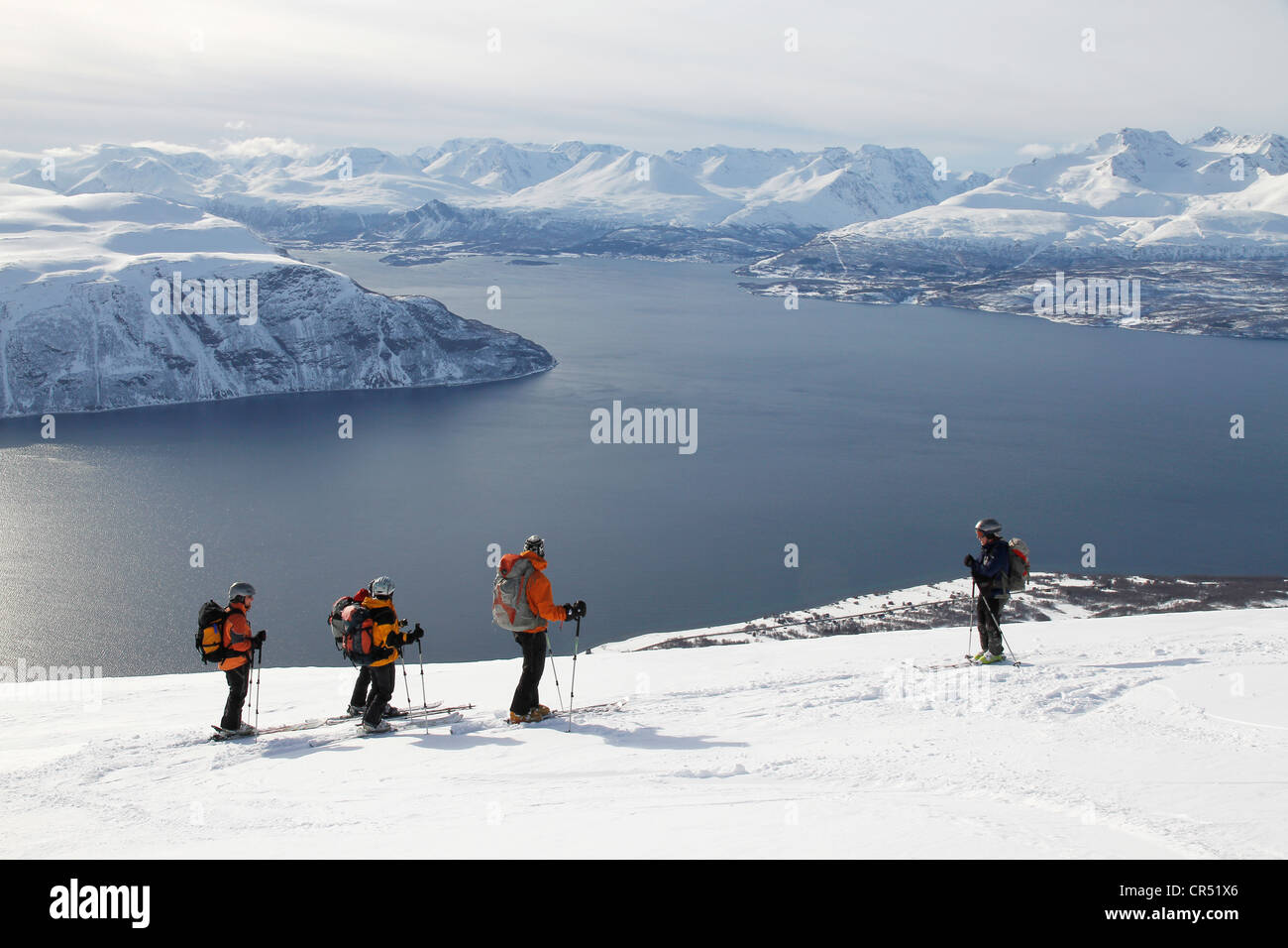 Ski touring Gruppe, Schnee, Fjord, Lyngenalps, Norwegen, Europa Stockfoto