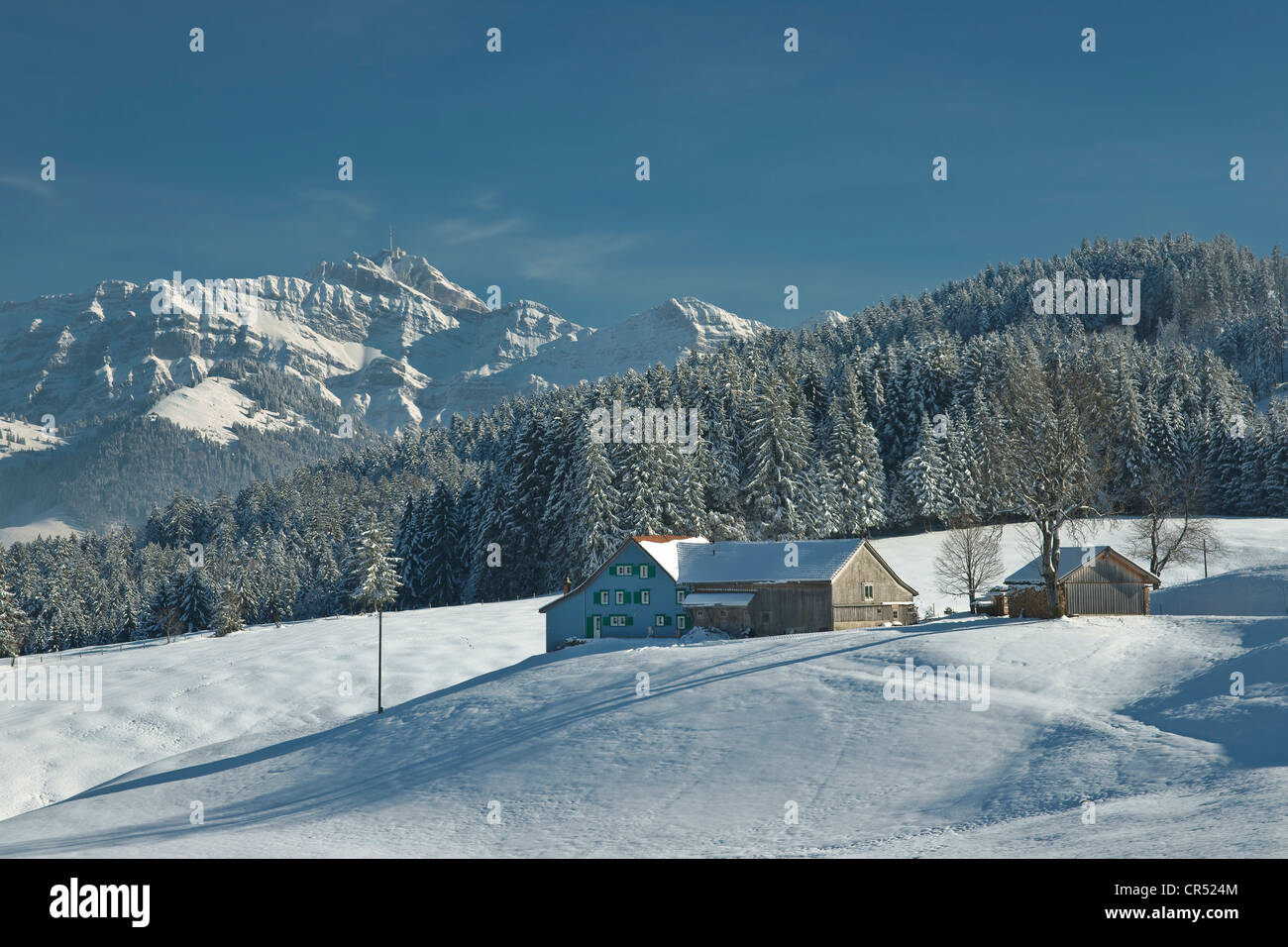 Winterlandschaft mit Appenzeller Bauernhof und Mt Säntis, Urnaesch, Kanton Appenzell, Schweiz, Europa Stockfoto