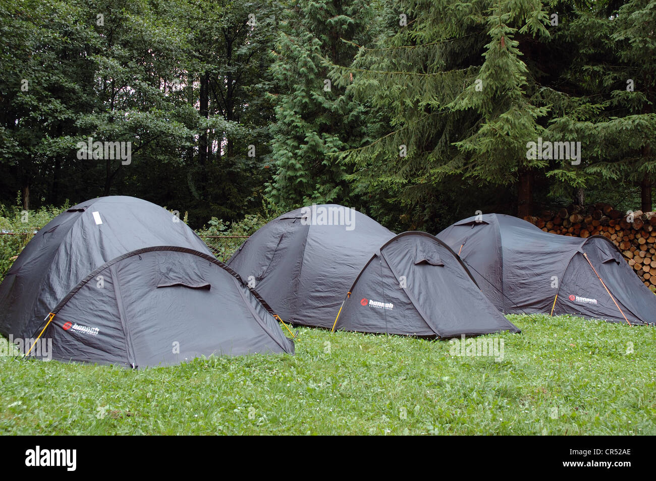 Leichte Zelte aufgeschlagen auf dem Rasen vor Bäumen Stockfoto
