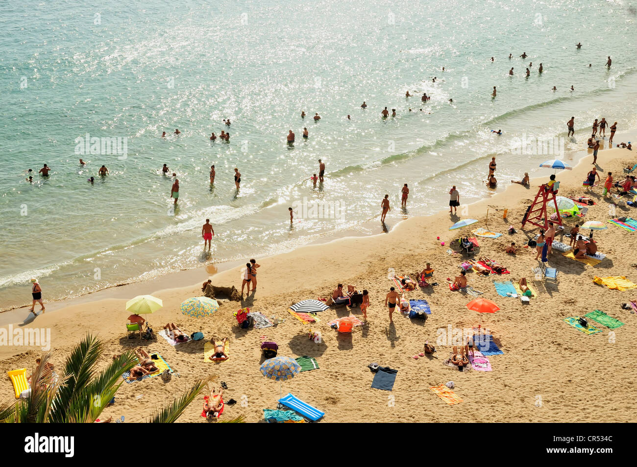 Badegäste am Strand von Playa Poniente, Masse Tourismus, Benidorm, Costa Blanca, Spanien, Europa Stockfoto