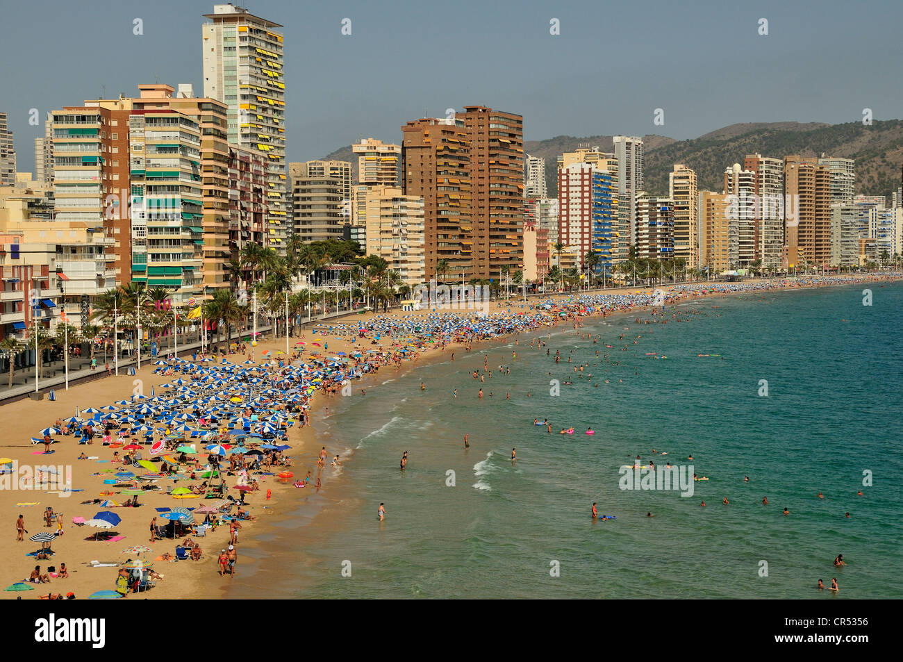 Hochhäuser und Badegäste am Strand Playa Levante Massen Tourismus, Benidorm, Costa Blanca, Spanien, Europa Stockfoto
