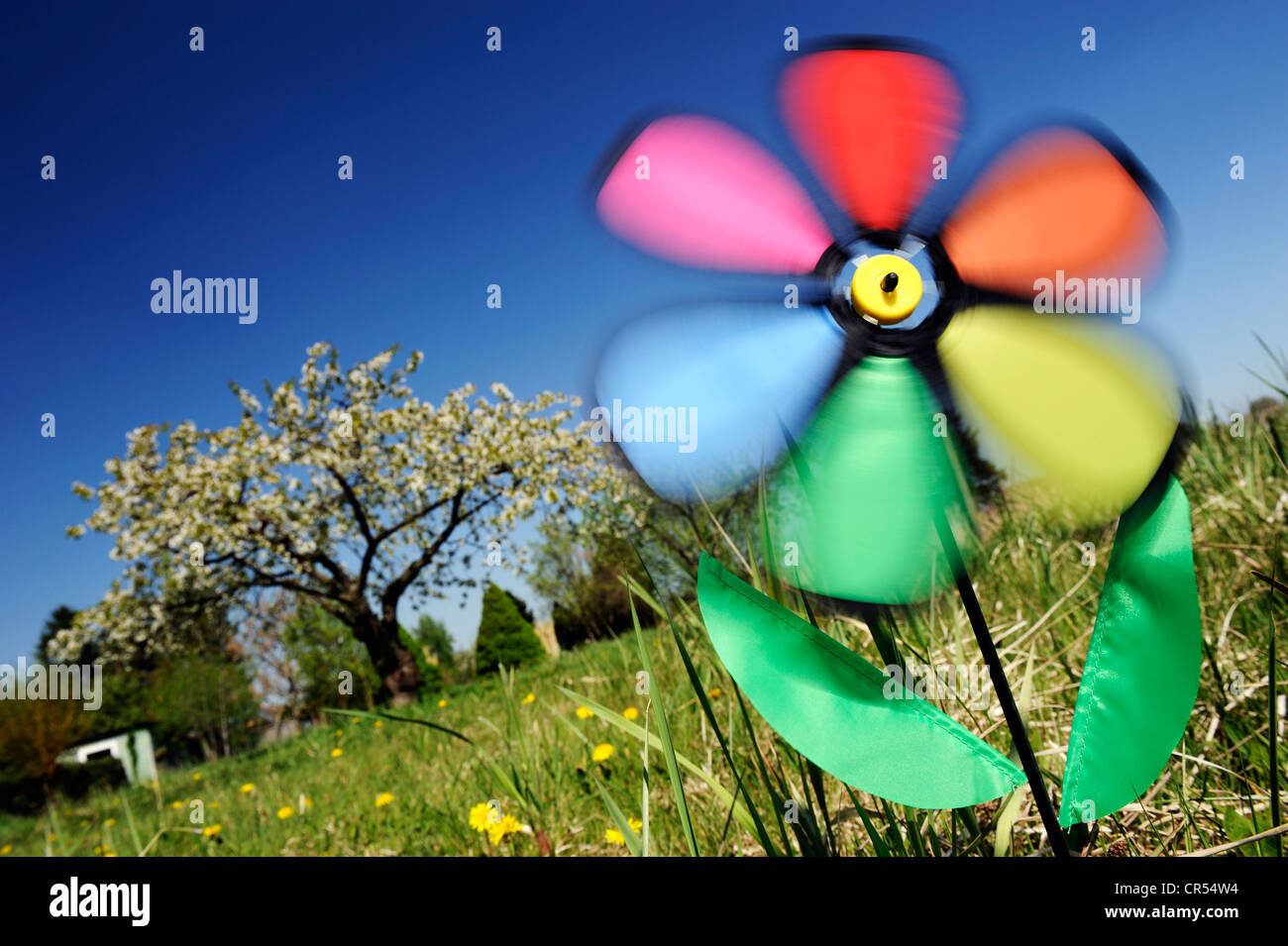 Buntes Windrad auf einer Wiese, symbolisches Bild für Windenergie Stockfoto