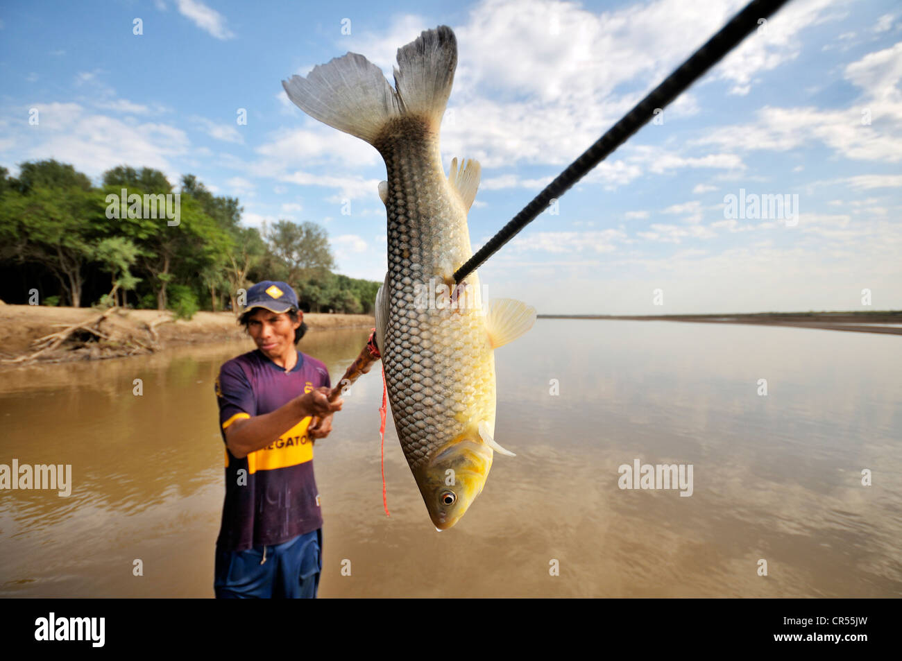 Junger Mann vom Stamm indigenen Wichi-Indianer Fischen mit einem Speer im Fluss Pilcomayo, La Curvita Indigena-Gemeinschaft Stockfoto