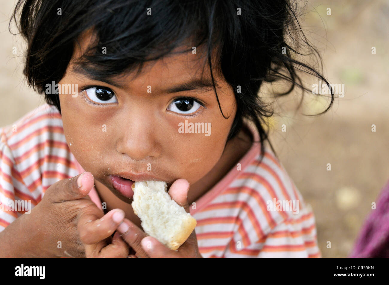 Indigene Mädchen vom Stamm Wichi-Indianer essen Brot, La Curvita Indigena Gemeinschaft, Gran Chaco, Argentinien, Südamerika Stockfoto