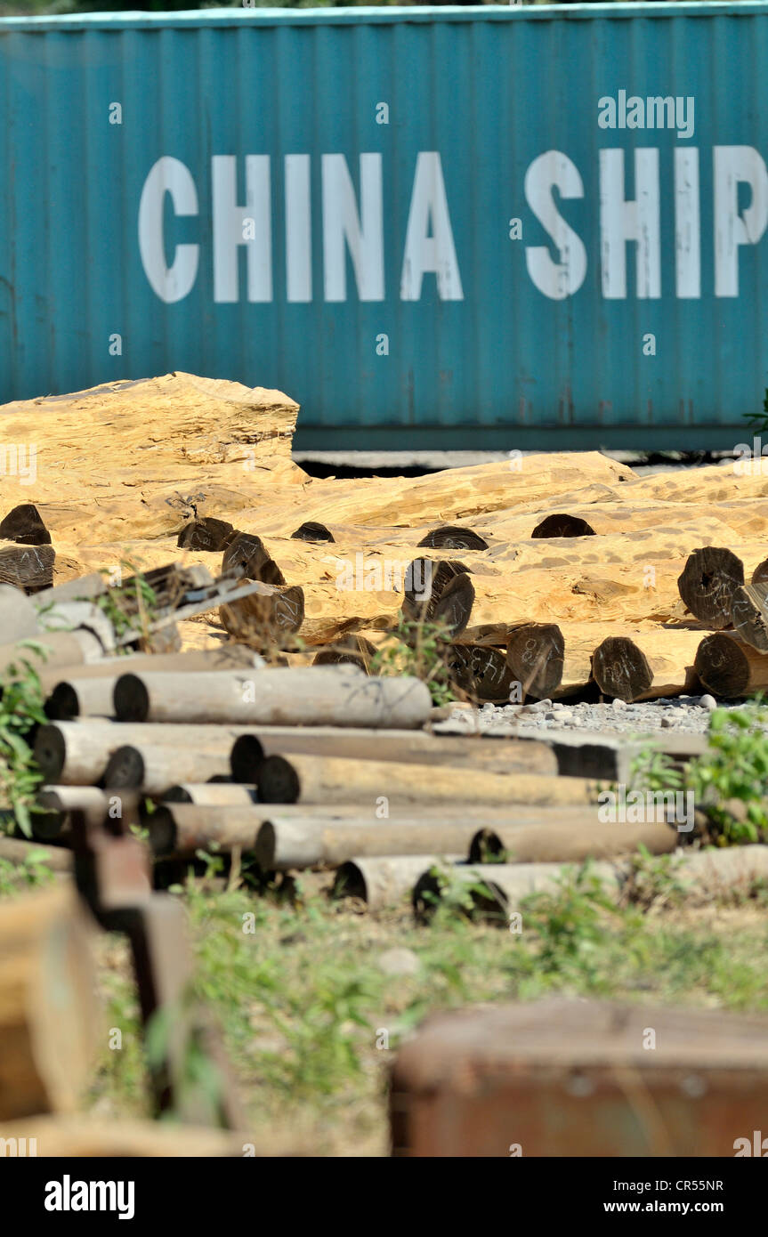 Protokolle aus der Chaco-Region vor einem Container mit der Aufschrift "China Shipping", wertvolle Tropenholz nach China exportieren Stockfoto