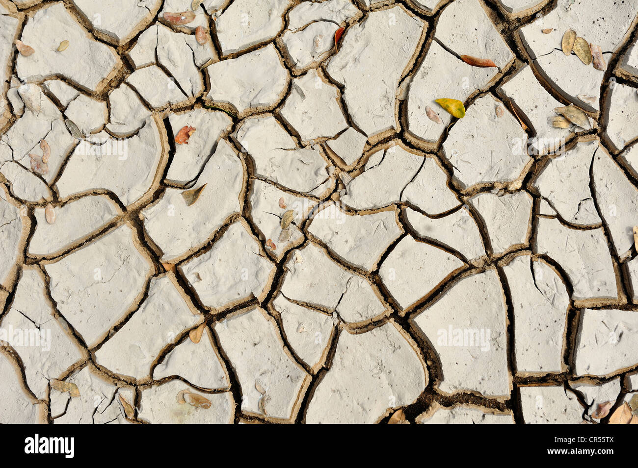 Trockener, rissiger Schlamm, symbolisches Bild für den Klimawandel Stockfoto