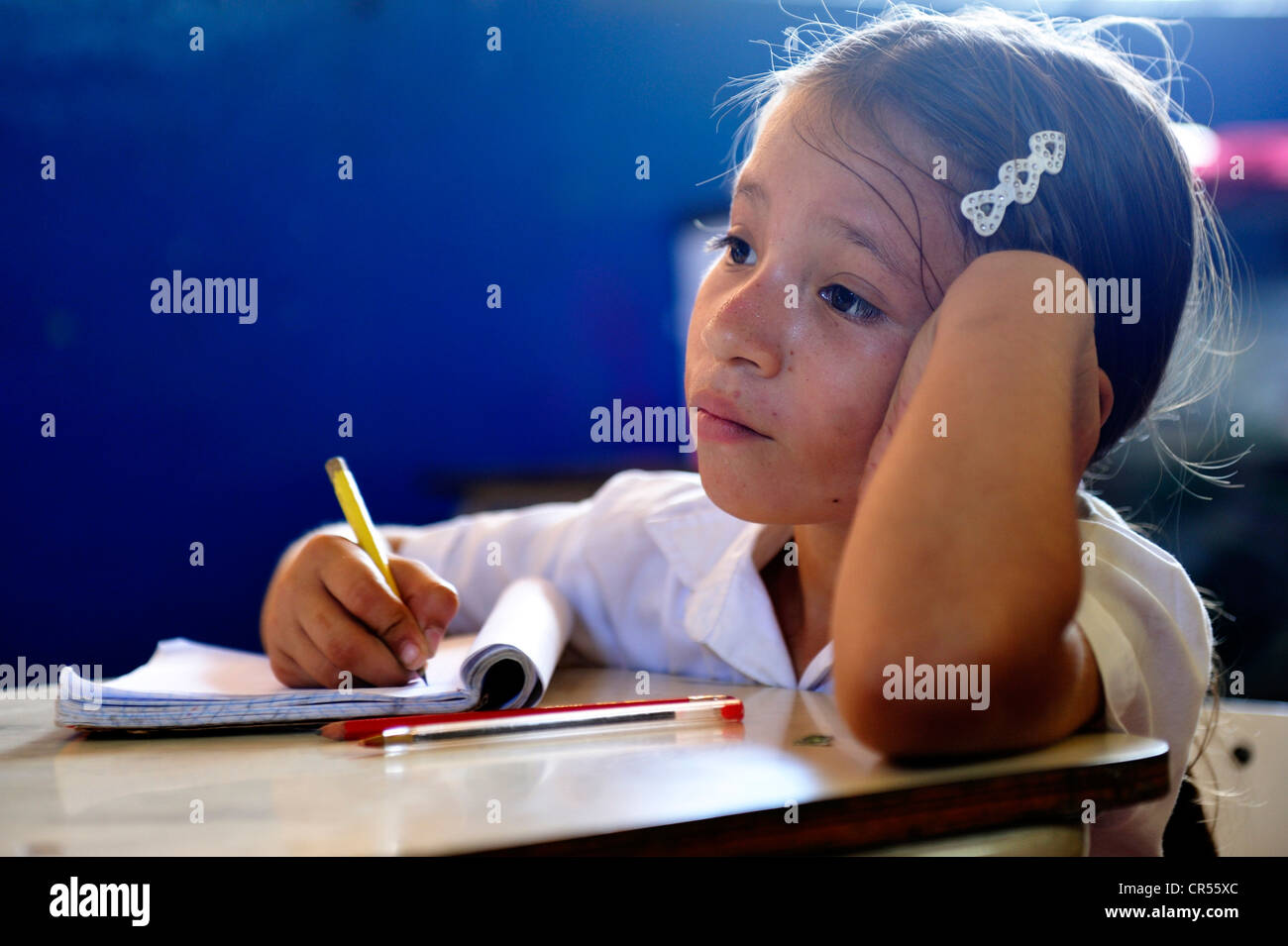 Mädchen, die Konzentration in der Schule, Schule in Las Mesitas, Bajo Lempa, El Salvador, Mittelamerika, Lateinamerika Stockfoto Mädchen, die Konzentration in der Schule, Schule in Las Mesitas, Bajo Lempa, El Salvador, Mittelamerika, Lateinamerika Stockfoto