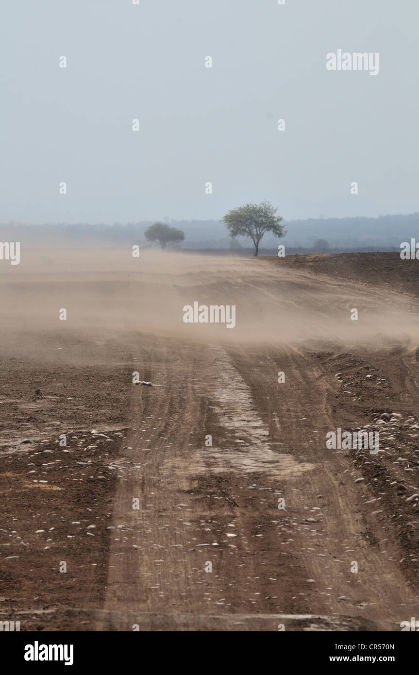Erosion, nährstoffreiche Böden sind, wie weggeblasen durch den Wind von gerodeten Flächen, Gran Chaco-Region, Provinz, Argentinien Stockfoto