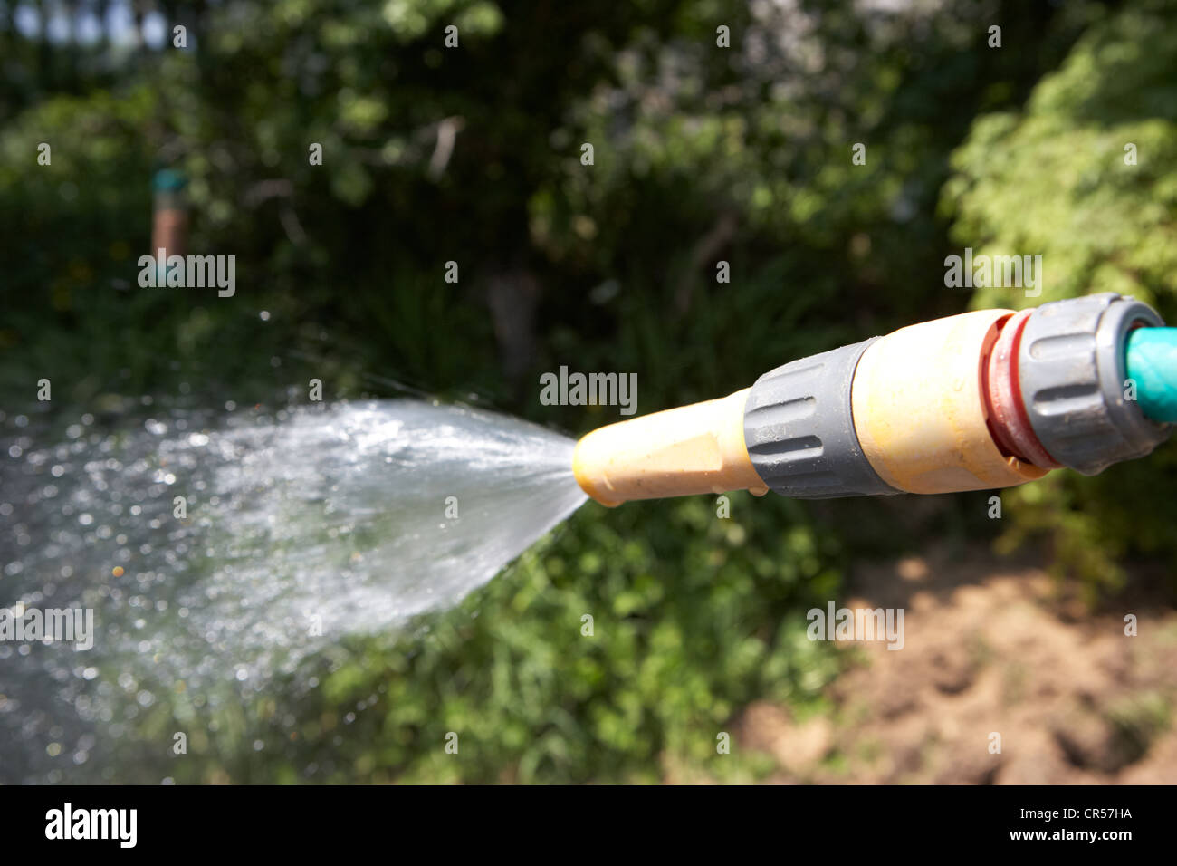 mit Hilfe eines Schlauches an den Garten an einem sonnigen Tag im Vereinigten Königreich zu bewässern Stockfoto