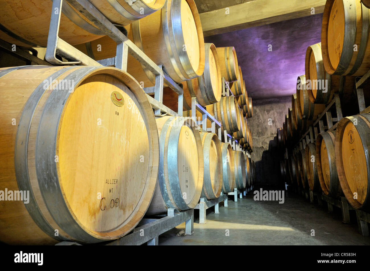 Gestapelte Eichenfässern für die Herstellung von Barrique-Weine in einem Weingut in Maipu, Provinz Mendoza, Argentinien, Südamerika Stockfoto