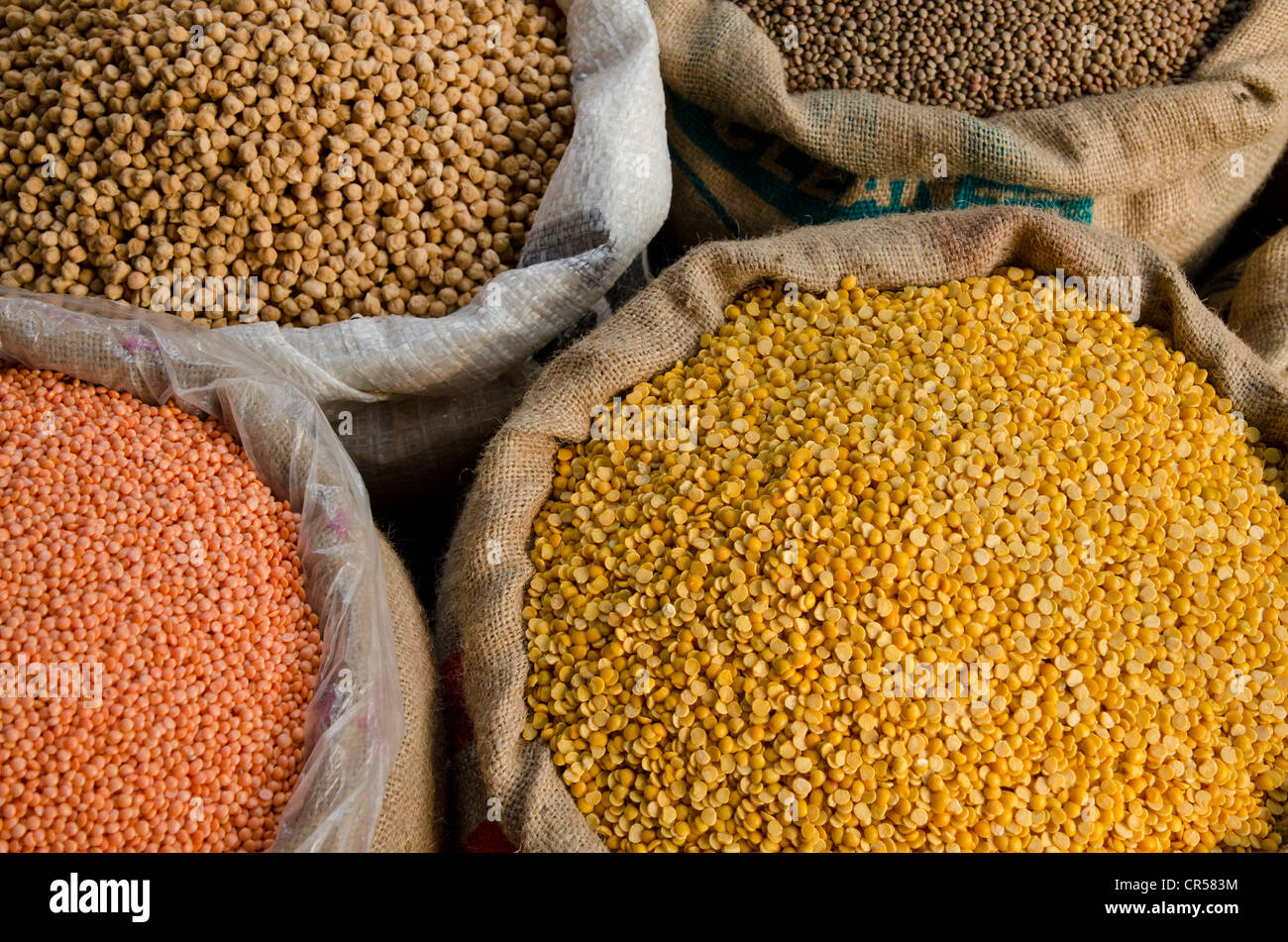 Moong Dhal, Urid Dhal und andere Arten von Linsen für den Verkauf auf dem Markt im Stadtteil Paharganj, Neu Delhi, Indien, Asien Stockfoto