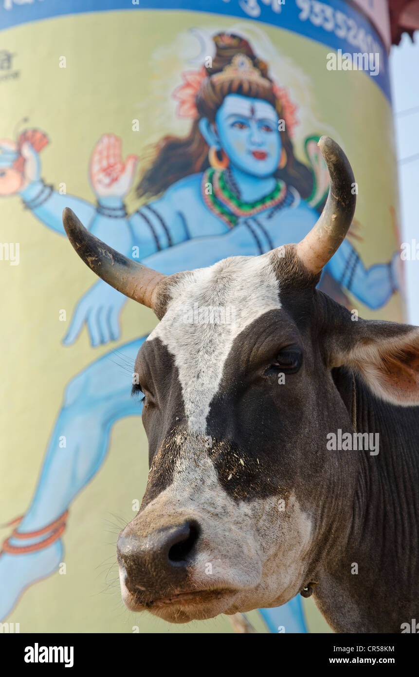 Heilige Kuh vor einem riesigen Shiva-Gemälde an den Ghats von Varanasi, Uttar Pradesh, Indien, Asien Stockfoto